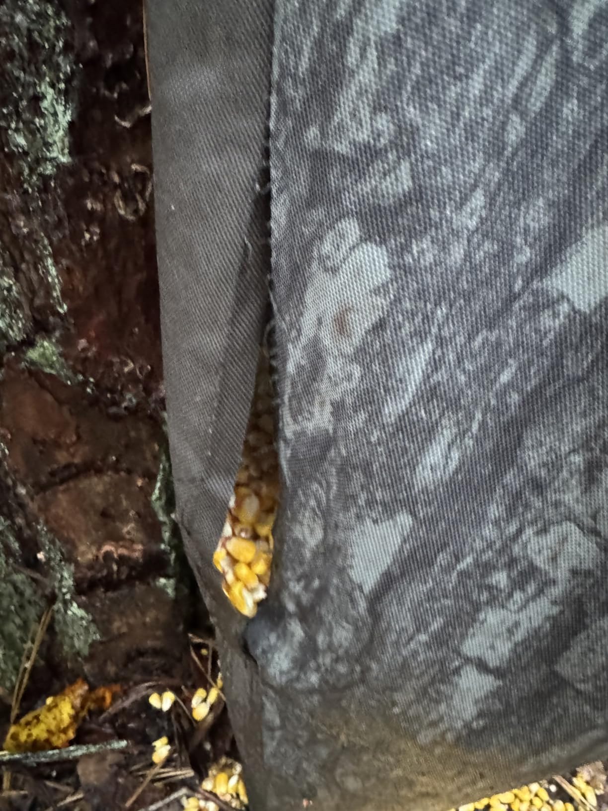 Moultrie 100lb Gravity Bag Feeder - Easy Hang Design for Deer and Wildlife customer photo 1