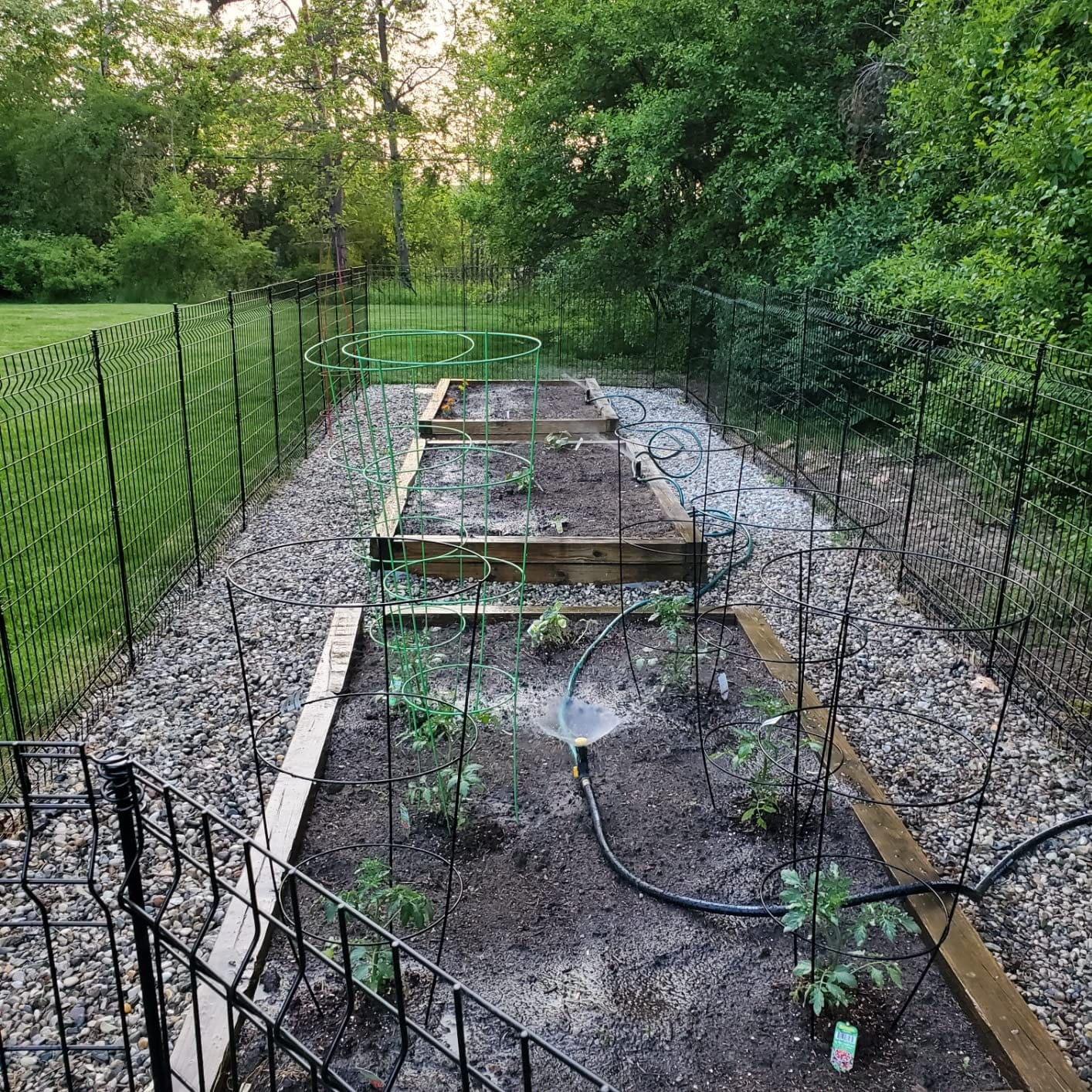 Melnor Multi-Adjustable Watering Set, 1800 Sq Ft: 3 Sprinklers, 2 Hoses | 65191AMZ customer photo 1