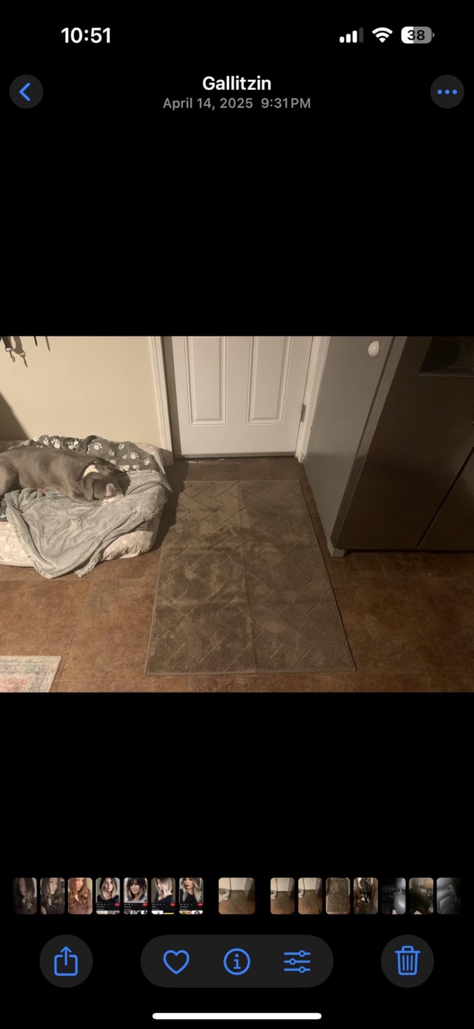 PURRUGS Dirt Trapping Door Mat Indoor Entrance, 20 x 31.5, Taupe | Machine Washable, Non-Slip, Waterproof TPR Backing, Super Absorbent, Low Profile, Entryway Rug for Muddy Paws and Shoes customer photo 2