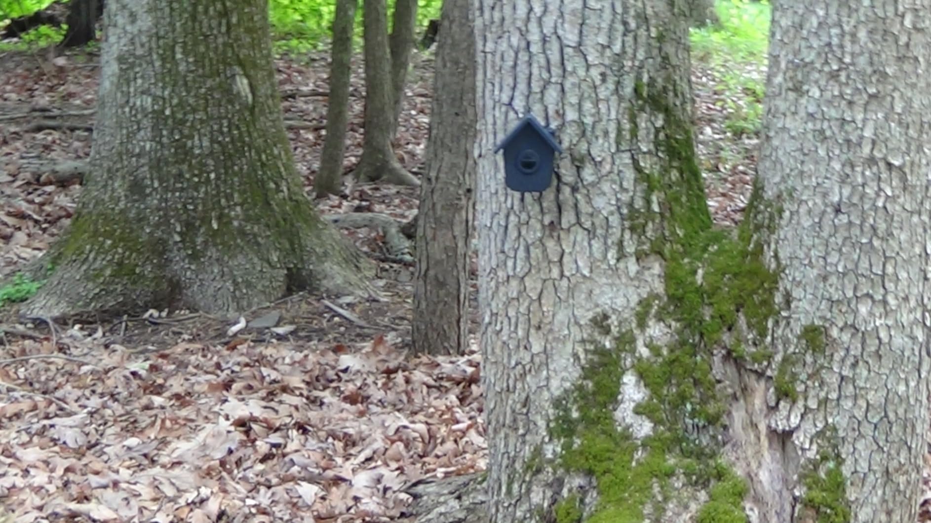 HTZSAFE HB-807A+HB-T504 - 1/2 Mile Long Range Solar Wireless Driveway Alarm customer photo 1