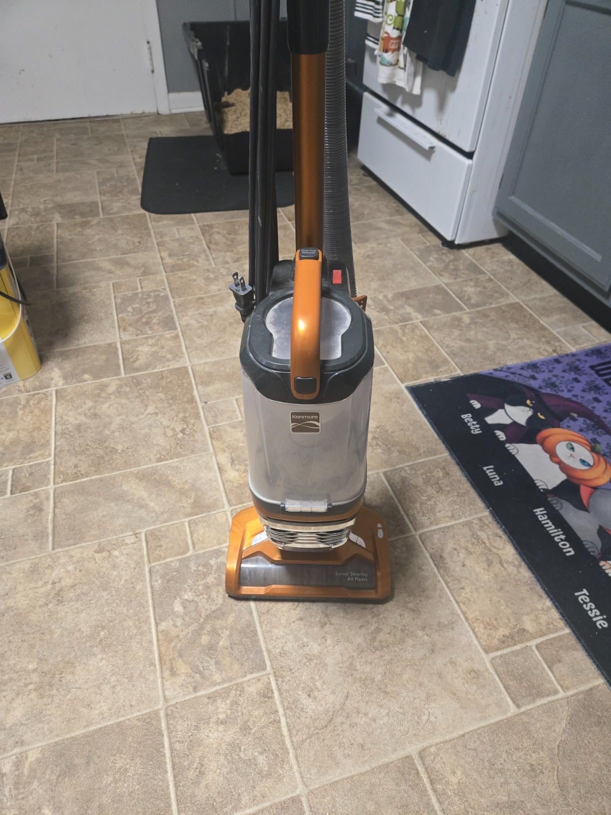 Kenmore Featherlite Lift-Up Bagless Upright Vacuum - 2-Motor Power Suction, Lightweight Carpet Cleaner with HEPA Filter, 2 Cleaning Tools for Pet Hair, Hard Floor - DU4080 customer photo 1