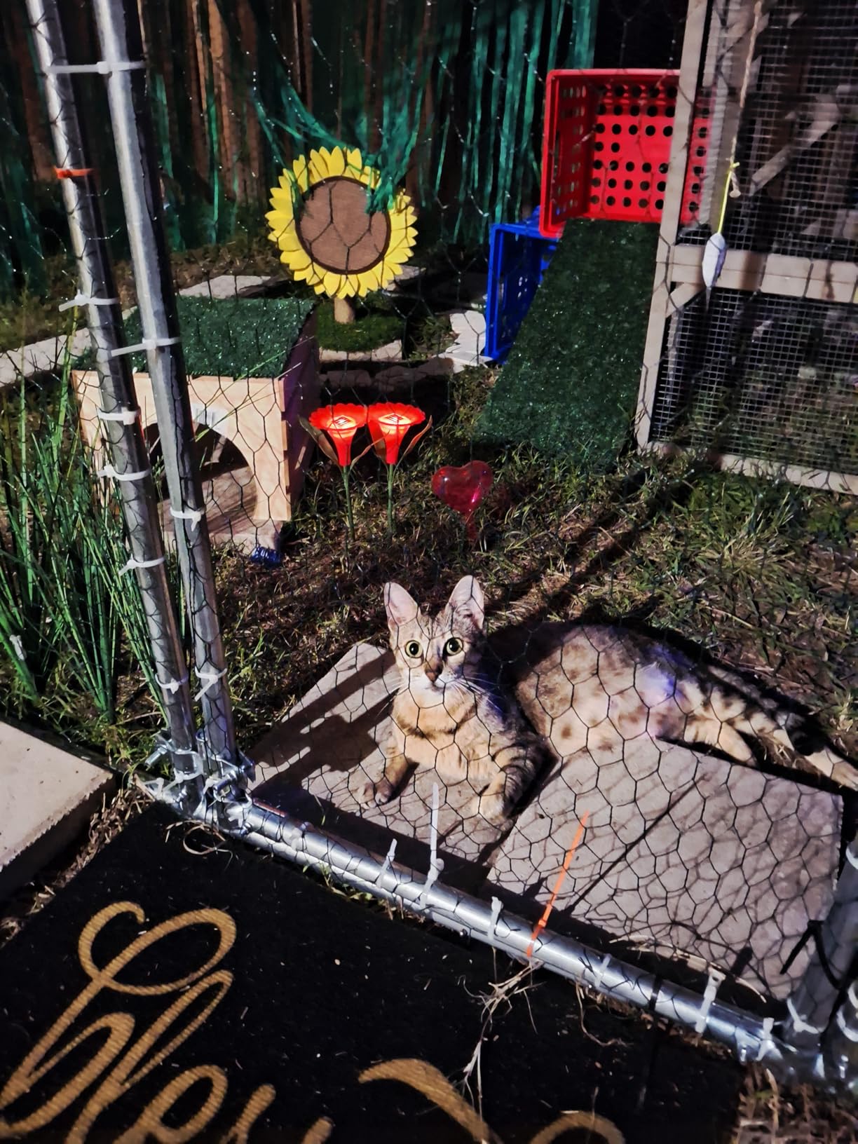 Large Metal Chicken Coop Round Top Upgrade Tri-Supporting Wire Mesh Chicken Run, Chicken Pen with Water-Resident and Anti-UV Cover, Duck Rabbit House Outdoor (19'L x 9'W x 6.5'H) customer photo 1