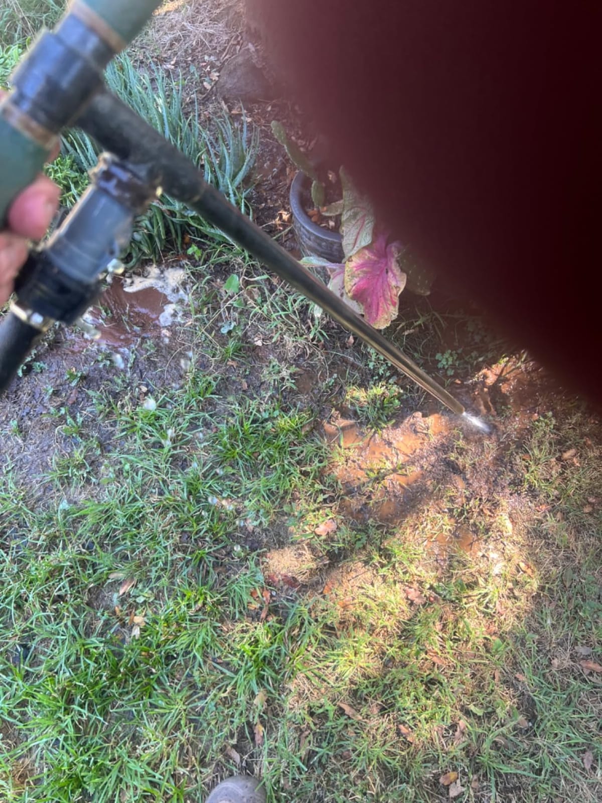 Caulimo Deep Root Watering Tool for Trees, Tree Watering Spike with Fertilizer Bottle, Stainless Steel Root Feeder for Garden, Orchard & Shrubs, Tree Irrigation System with Brass Valve, T-Handle customer photo 2