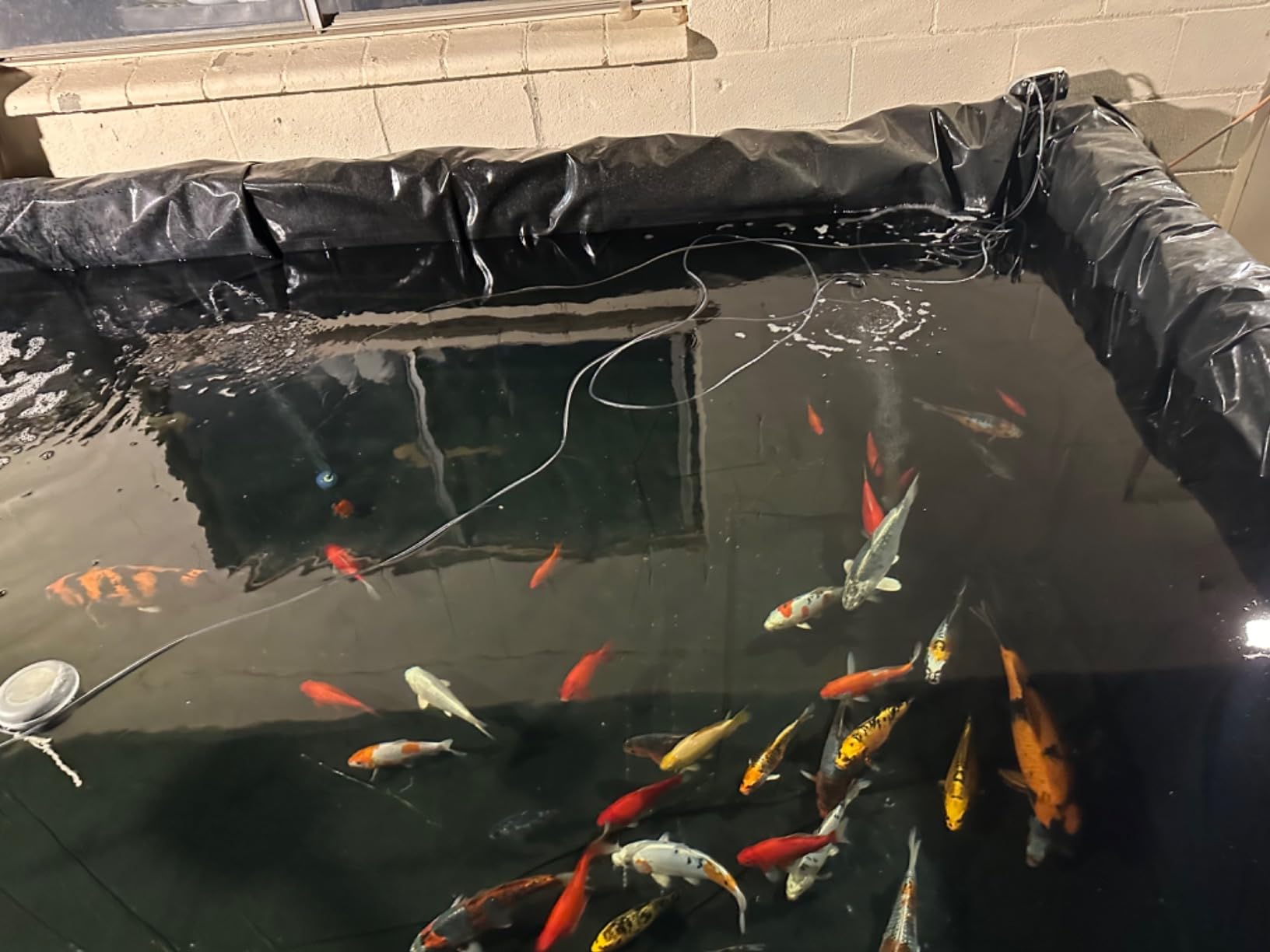 VIVOSUN 13.5 x 20 Feet Pond Liner for Koi Ponds, Aquaculture and Gardens customer photo 1