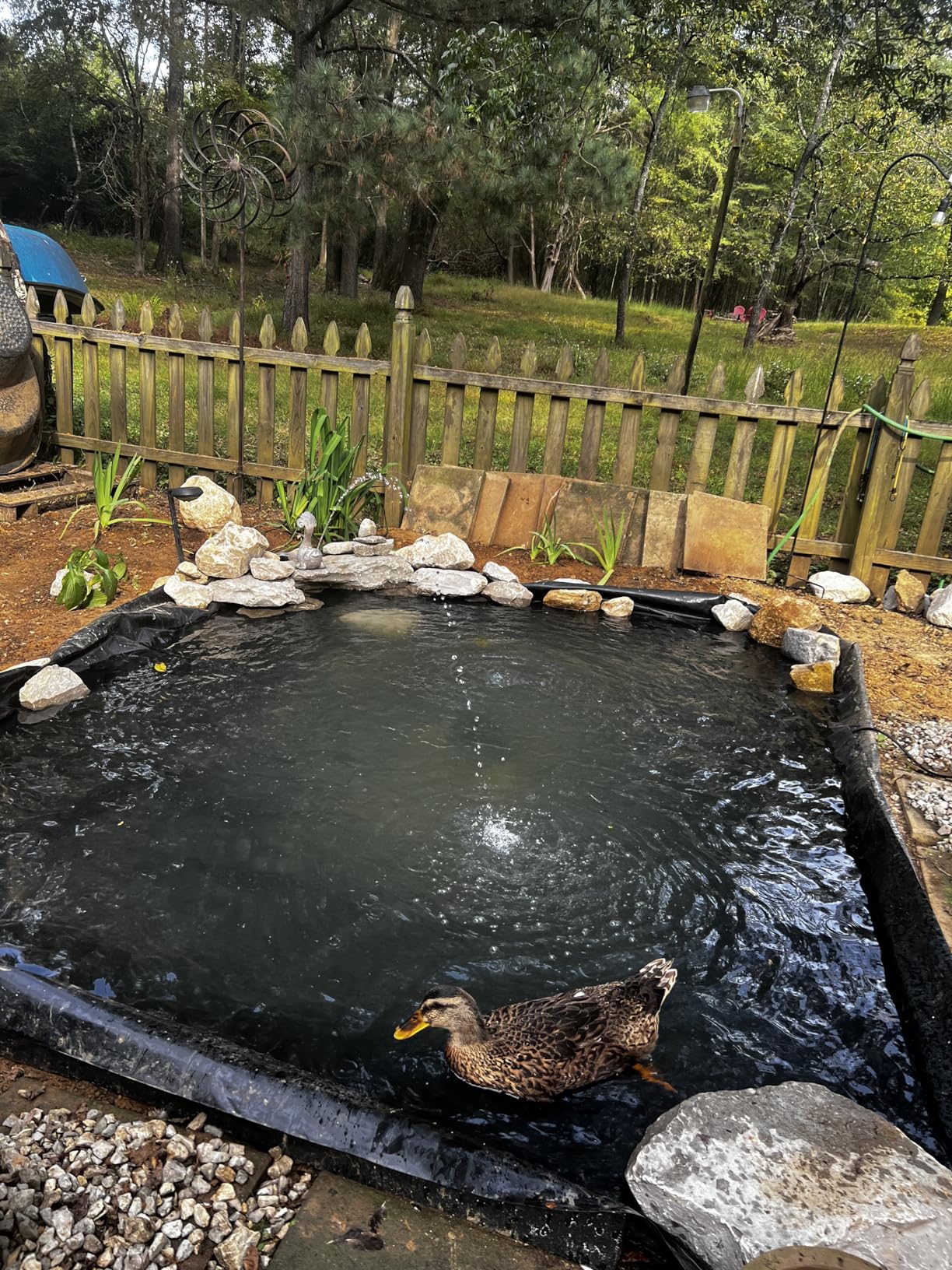 VIVOSUN 13.5 x 20 Feet Pond Liner for Koi Ponds, Aquaculture and Gardens customer photo 2