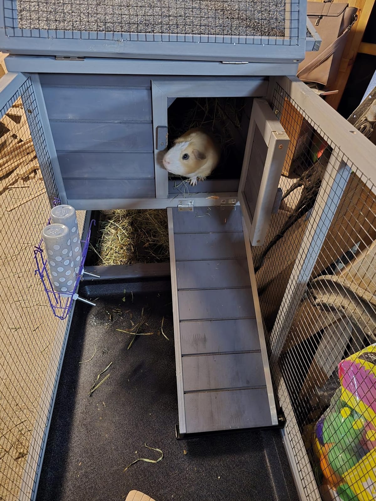 Aivituvin Rabbit Hutch 93.7