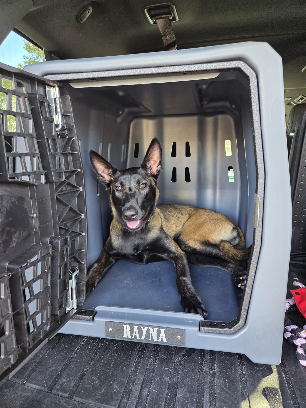 Lucky Dog Kennel, Durable Crash Tested Portable Dog Crates, Intermediate customer photo 2