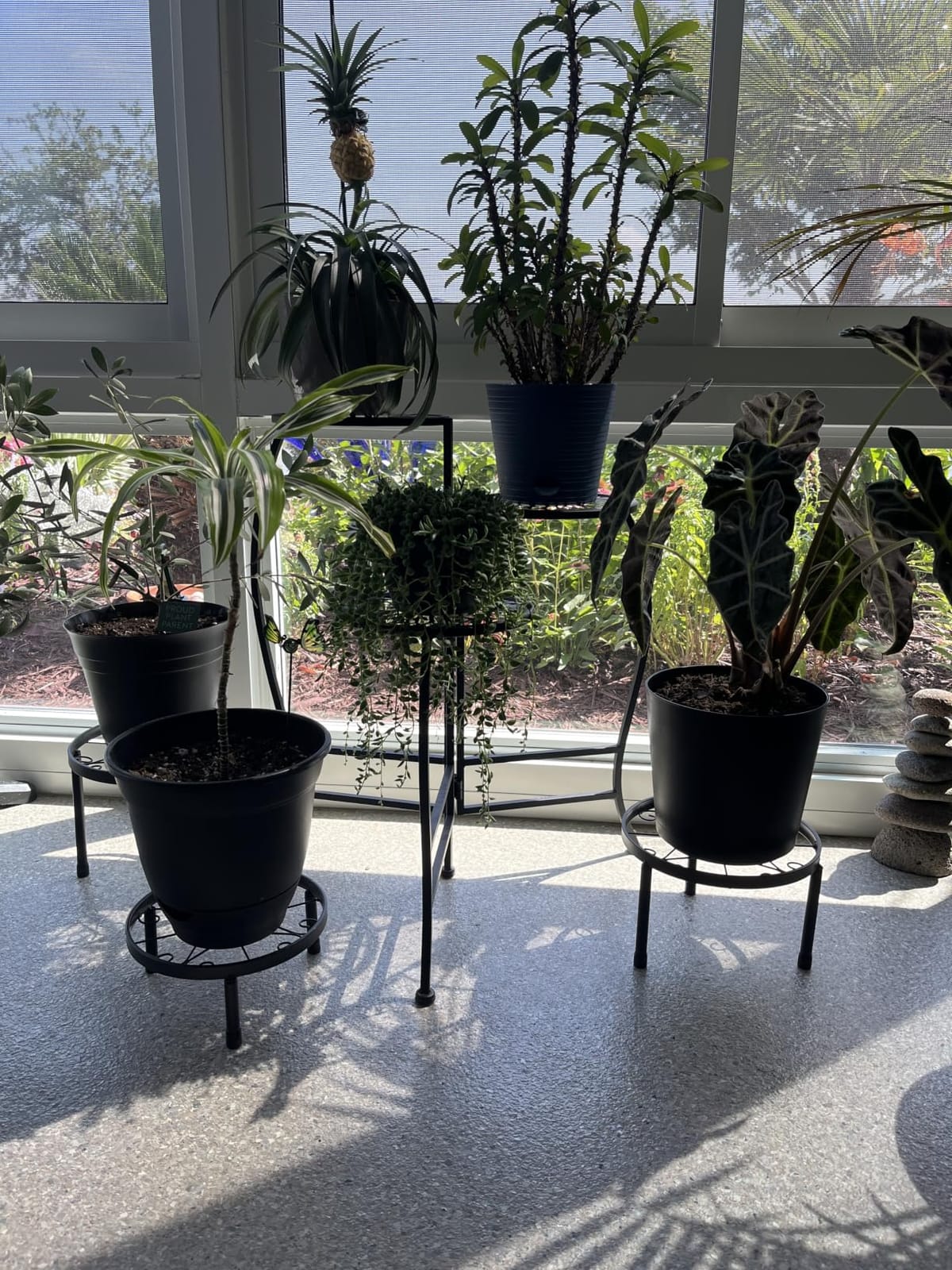Linpla 5-Pack Decent Metal Plant Stand Indoor Outdoor Low Plant Shelf customer photo 2