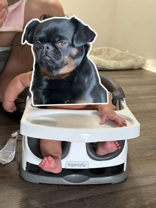 Ingenuity Baby Base 2-in-1 Booster Feeding and Floor Seat with Self-Storing Tray - Mist customer photo 1