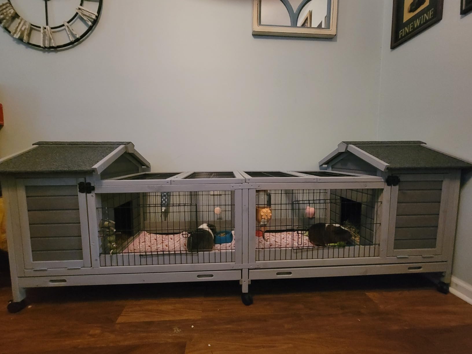 GUTINNEEN Rabbit Hutch Indoor Outdoor Bunny Cage Upgrade Large Space for Rabbit, Guinea Pig, Bunny and Other Small Animals, On Wheels Move Easily customer photo 1