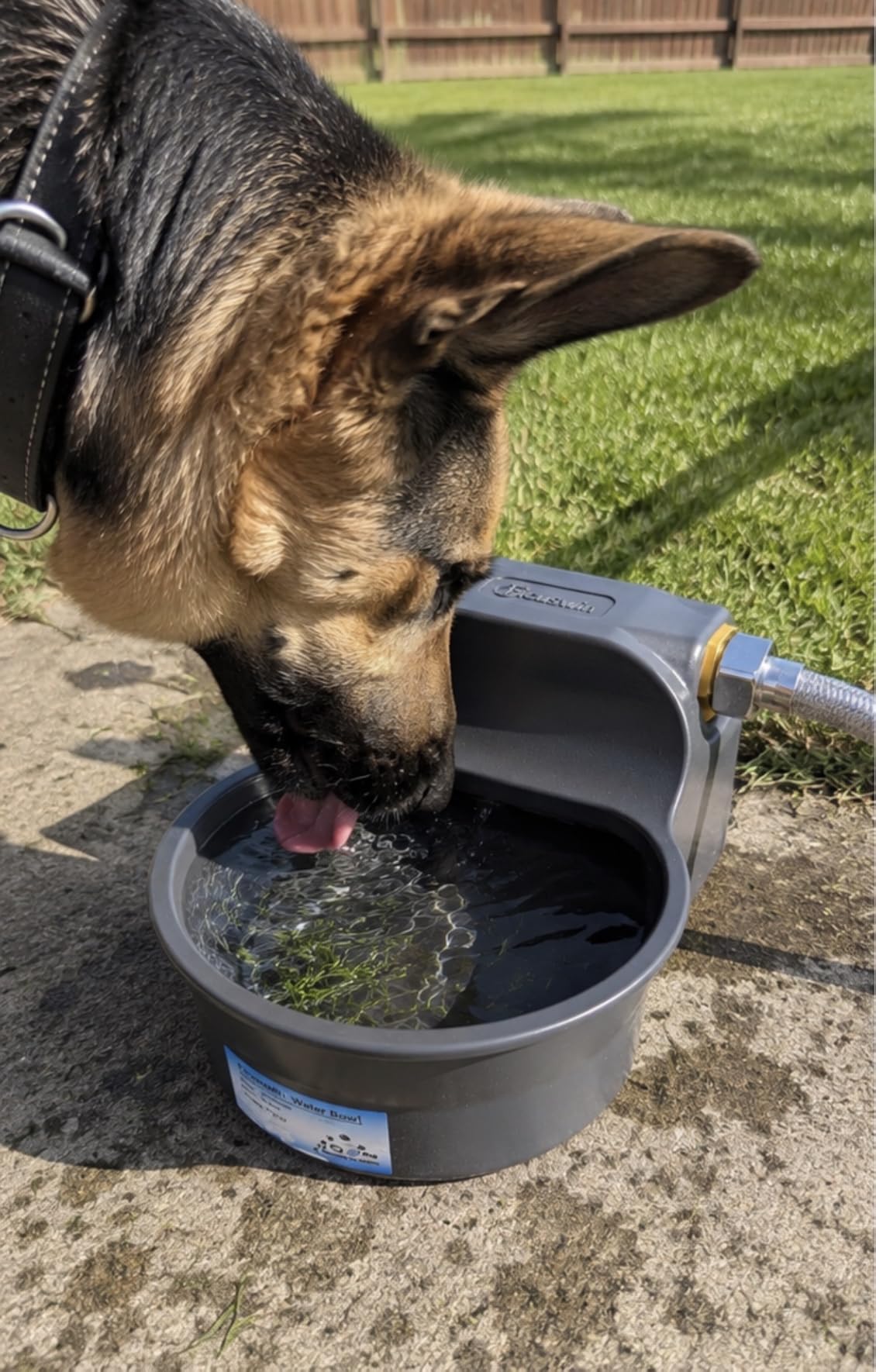 Automatic Dog Water Bowl Dispenser Patented 70OZ Water Dispenser for Dogs 2L Water Bowl Fit 3/4in GHT Male Faucet Outdoor Automatic Water Bowl Include Automatic Water Fill Valve Adapter 5ft Water Hose customer photo 1