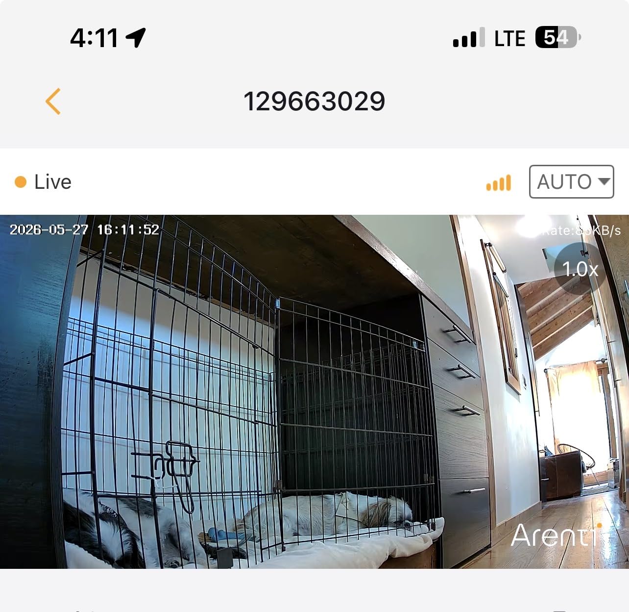 ARENTI 4MP Pet Camera P2Q, 5G WiFi 6 Indoor Security Camera, Free Phone App | Pan/Tilt, Auto Tracking, AI Human/Motion/Sound Detection, Night Vision, 2-Way Audio, Custom Zones, Timer Cruise, Sleep Mode customer photo 1