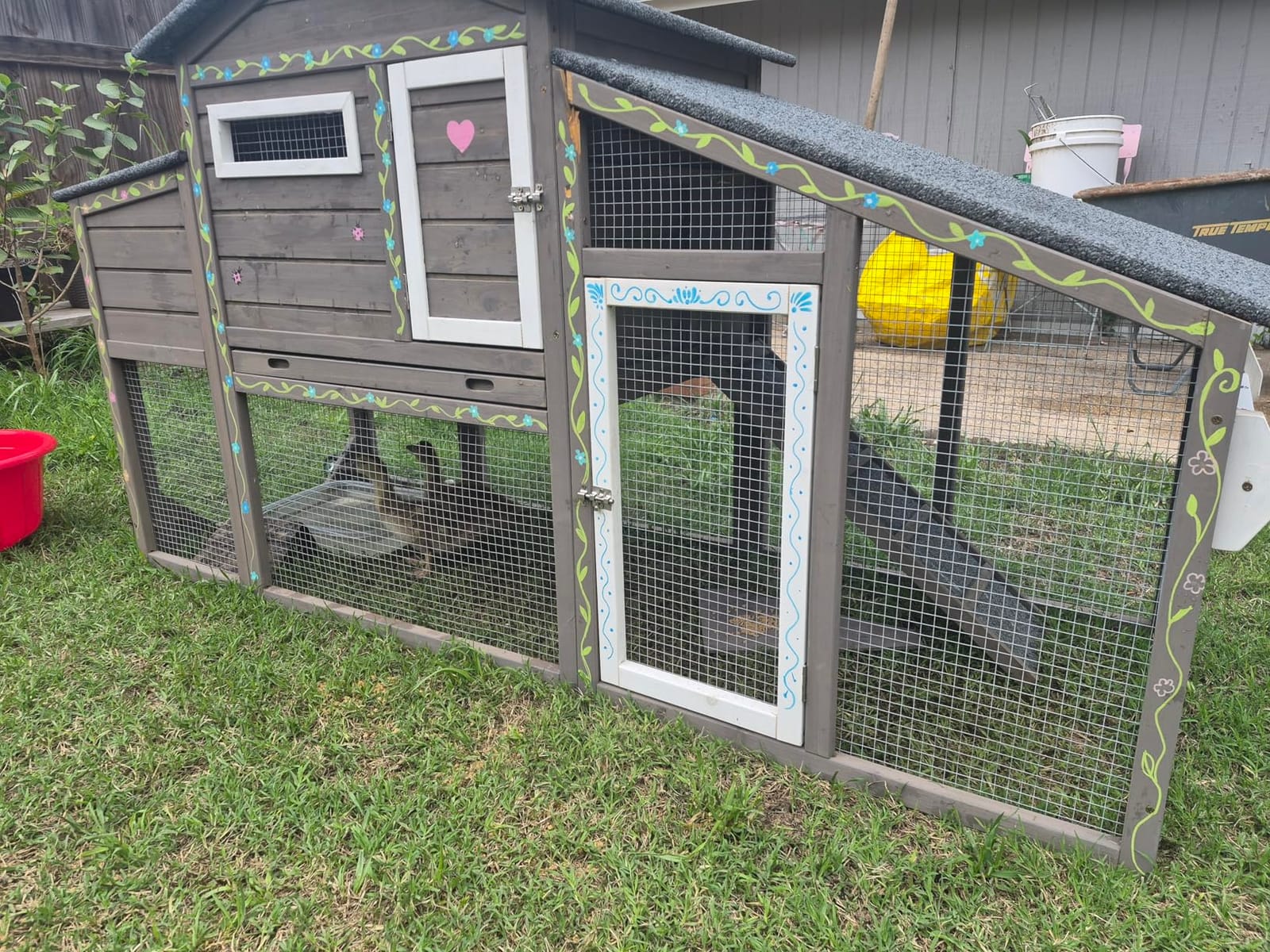 Ketive Large Wooden Chicken Coop with Run and Wheels, Grey | 2 Nesting Box, Pull-Out Tray, For 1-3 Hens, Backyard Use customer photo 1