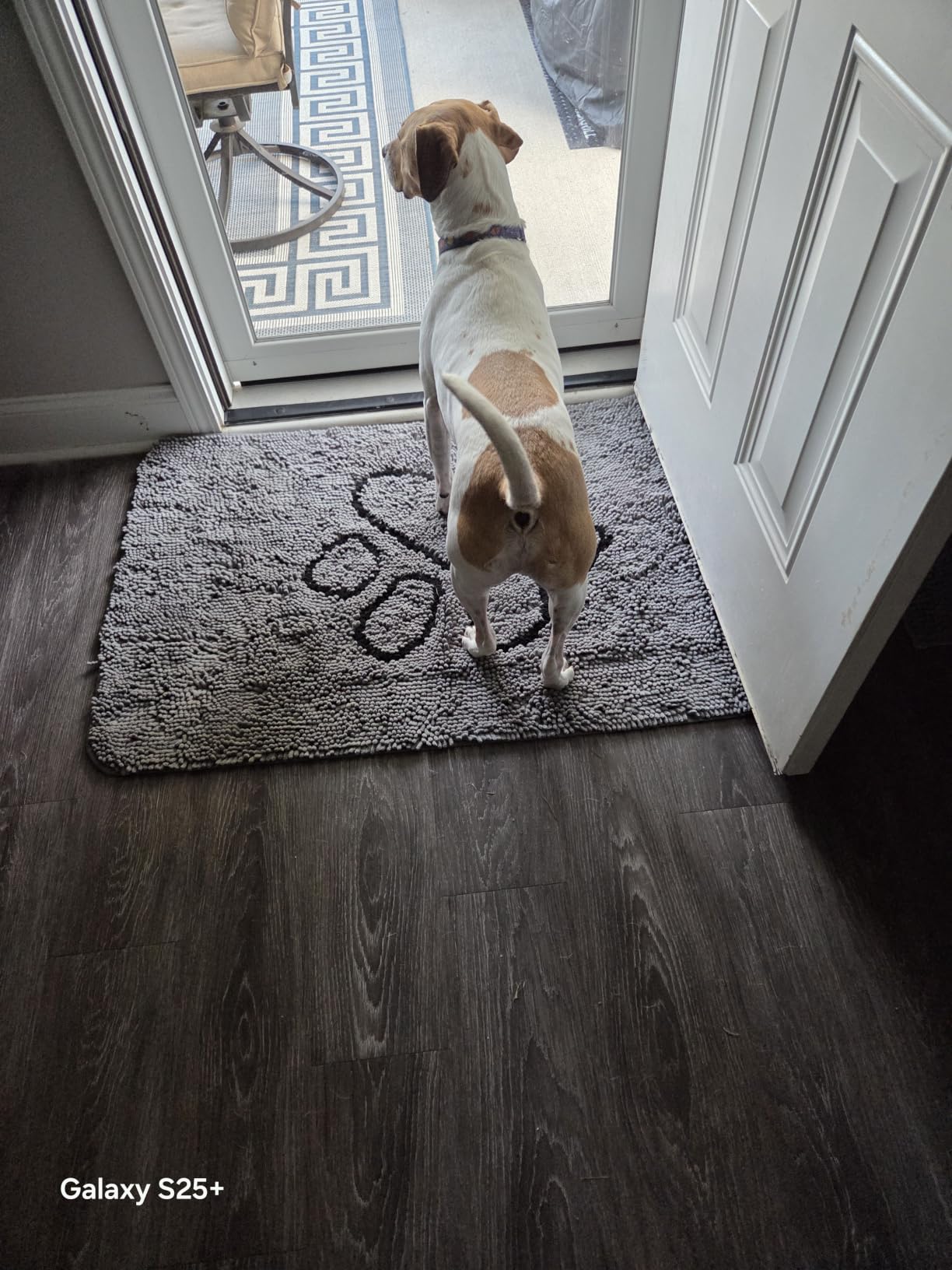 OLANLY Dog Door Mat for Muddy Paws 48x30, Super Absorbent Chenille Mud Mat, Grey, Absorbs Moisture and Dirt, Non-Slip Machine Washable Doormat, Quick-Drying Indoor Entryway Floor Carpet for Dogs customer photo 1