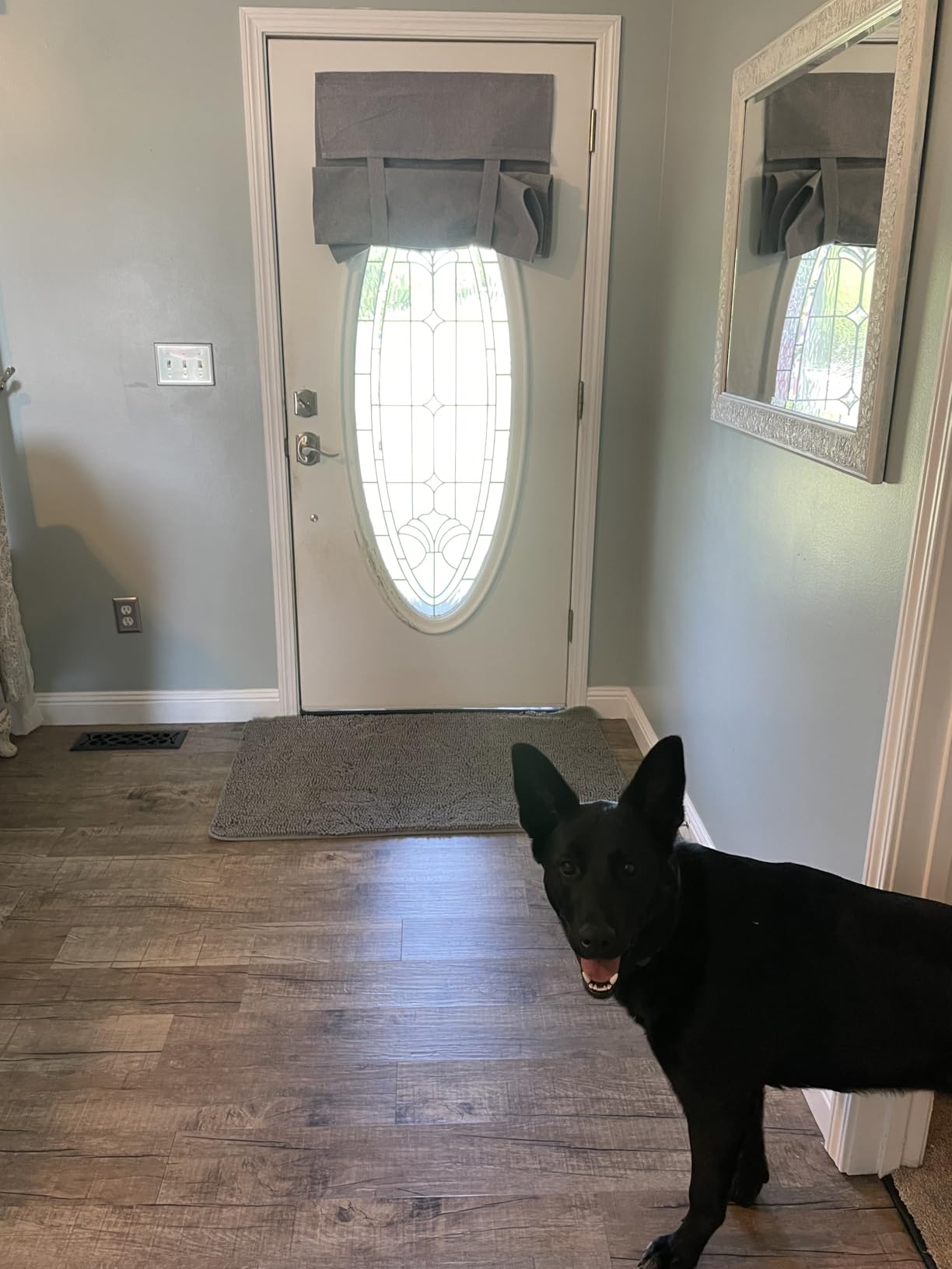 OLANLY Dog Door Mat for Muddy Paws 48x30, Super Absorbent Chenille Mud Mat, Grey, Absorbs Moisture and Dirt, Non-Slip Machine Washable Doormat, Quick-Drying Indoor Entryway Floor Carpet for Dogs customer photo 2