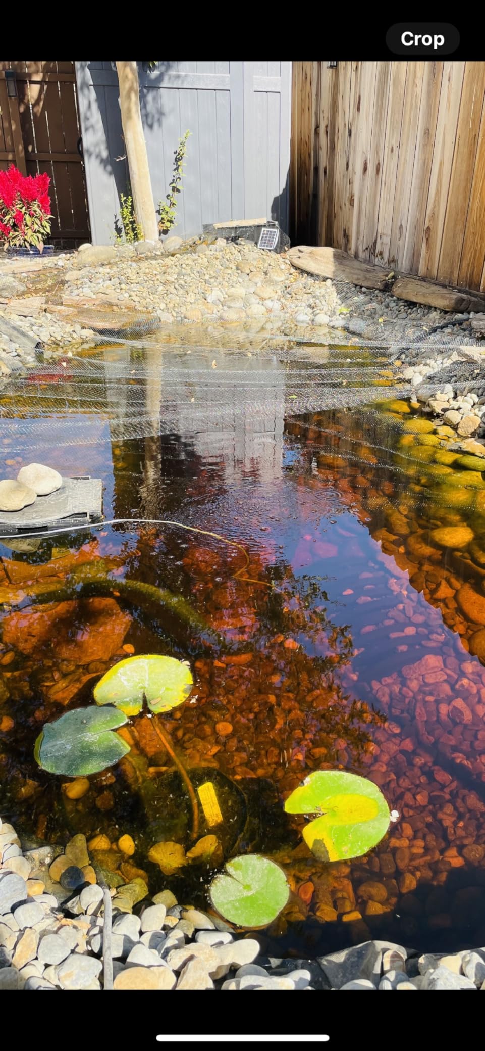 Biling Solar Aerator for Pond with 2200 mAh Battery Backup for Fish Pond customer photo 2