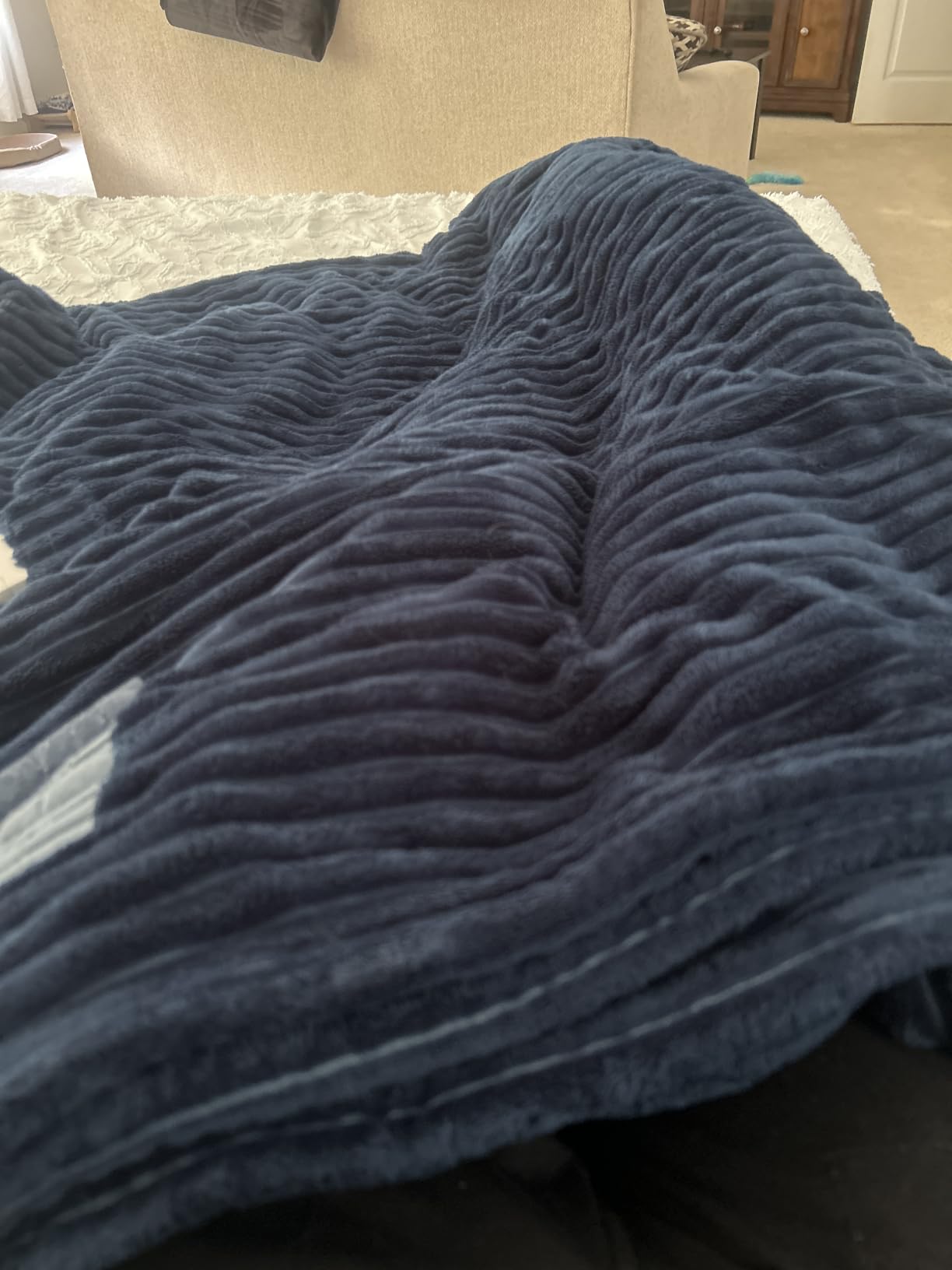 Bedsure GentleSoft Heated Blanket Throw - Soft Ribbed Flannel Electric Blanket, Gifts for Grandma, 50x60 inches customer photo 1