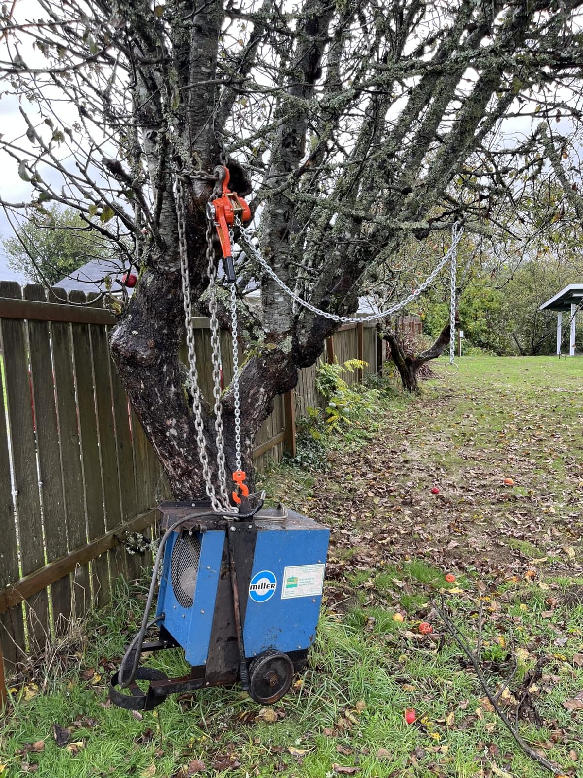 VEVOR Manual Lever Chain Hoist, 3/4 Ton 1650 lbs Capacity 10 FT Come Along, G80 Galvanized Carbon Steel with Weston Double-Pawl Brake, Auto Chain Leading & 360 Degree Rotation Hook, for Garage Factory Dock customer photo 1