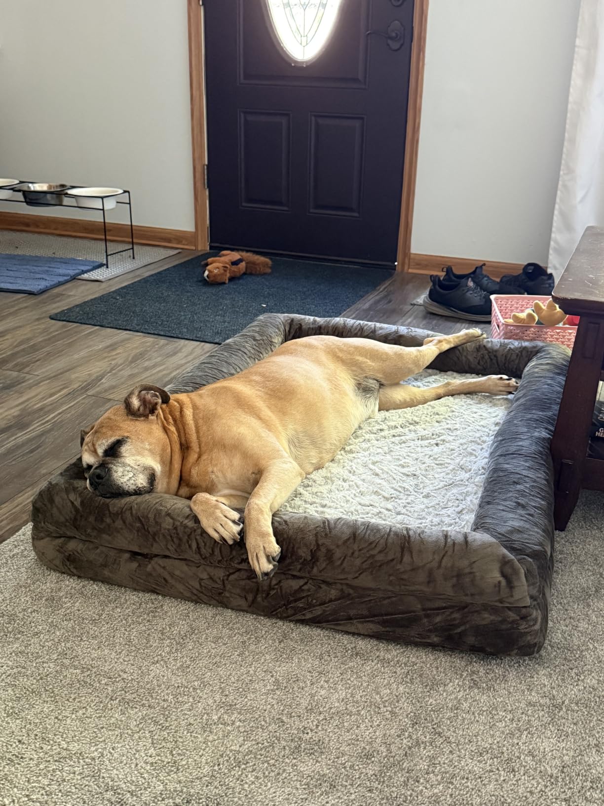 WNPETHOME XXL Extra Large Orthopedic for Senior Dog Bed Comfy Sleeping | Washable Waterproof Dog Couch with Removable Cover, Large Pet Sofa Bed with Bolster Sides for Relaxing Grey 45x35 Inch customer photo 1