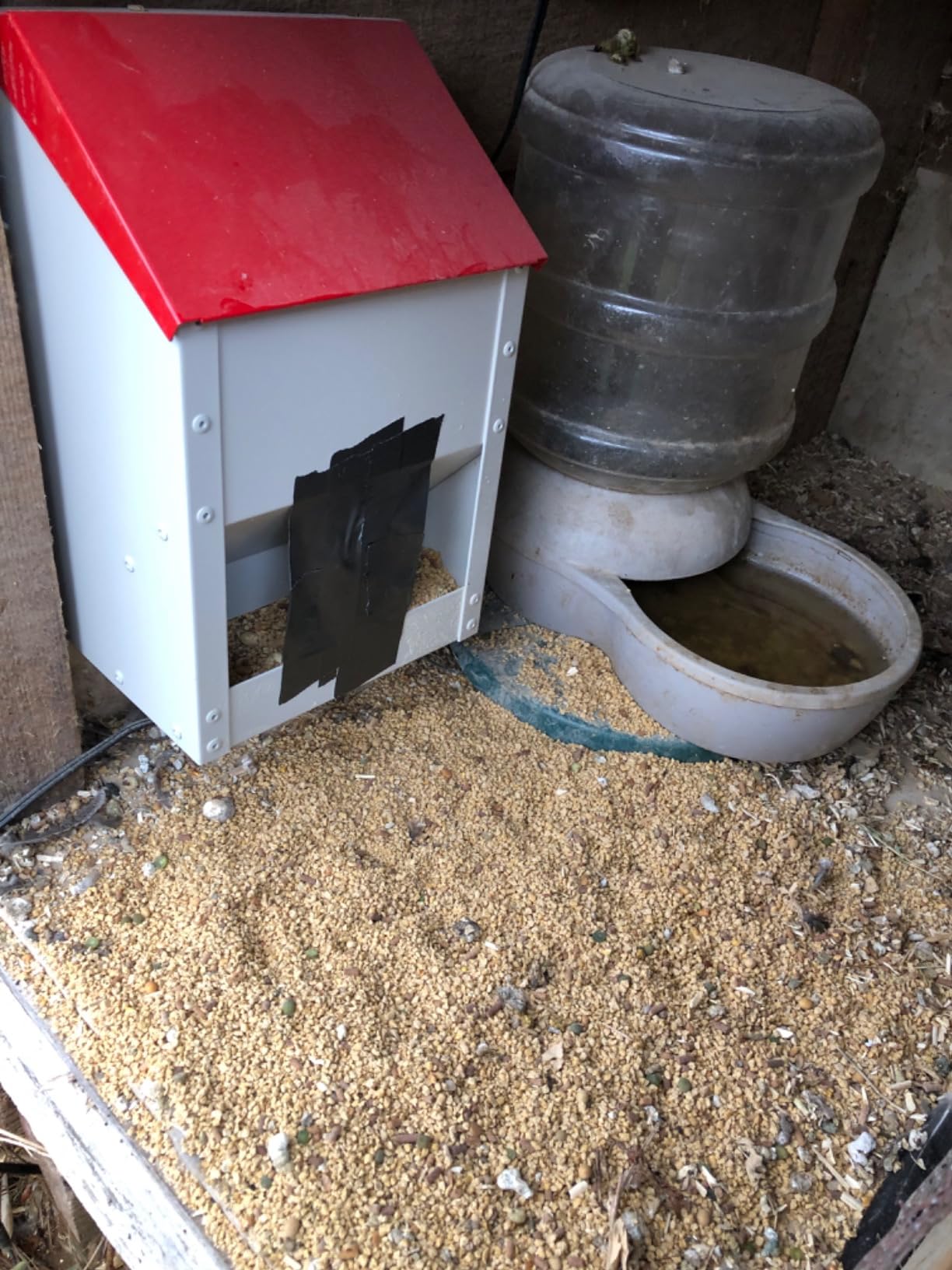 Galvanized Wall Mount Chicken Feeder No Waste Hanging Chicken Feeder with Lid Weatherproof Metal Automatic Poultry Feeder Trough Food Dispenser for Outside Coop (10 lbs) customer photo 1