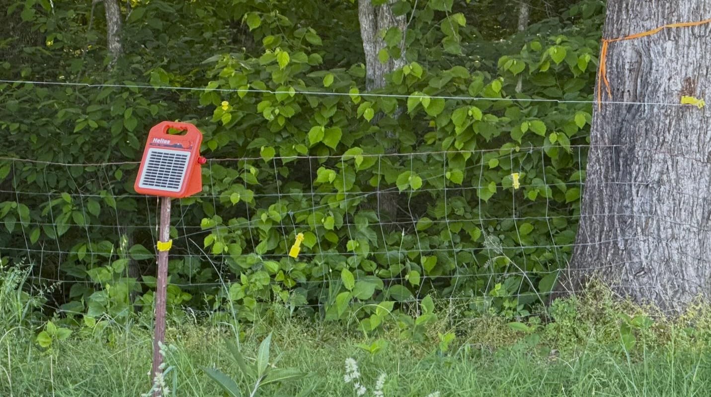 ANDMON MINI400 30 Miles Solar Electric Fence Charger, 0.4 Joule Solar Electric Fence for Livestock, Horses, Cattle Sheep, Solar Fence Charger with Day or Night Mode, Easy Installation customer photo 2