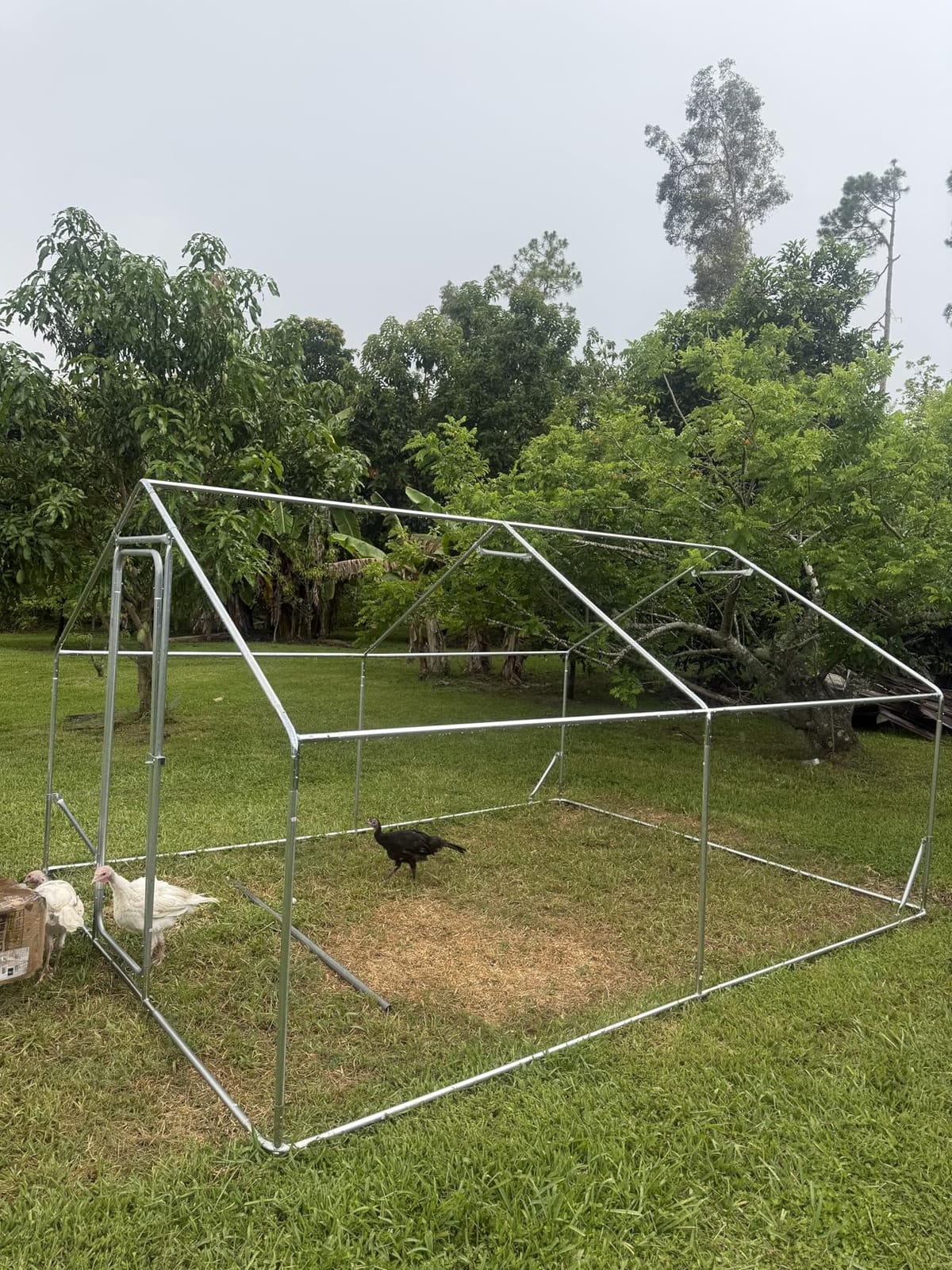 Sino Luban Large Metal Chicken Coop Run for 10 Chickens/Ducks, Chicken Runs for Yard with Waterproof Cover, Chicken Enclosure Chicken Pen Outdoor, Walk-in Poultry Cage (Upgrade wall Support Brace) customer photo 1