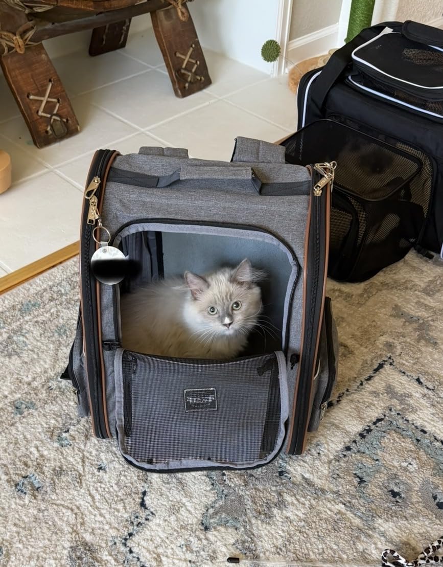 Extra Large Cat Backpack Carrier Expandable Pet Carrier Backpack for Small/Medium Dogs and Medium/Large Cats, Grey customer photo 1