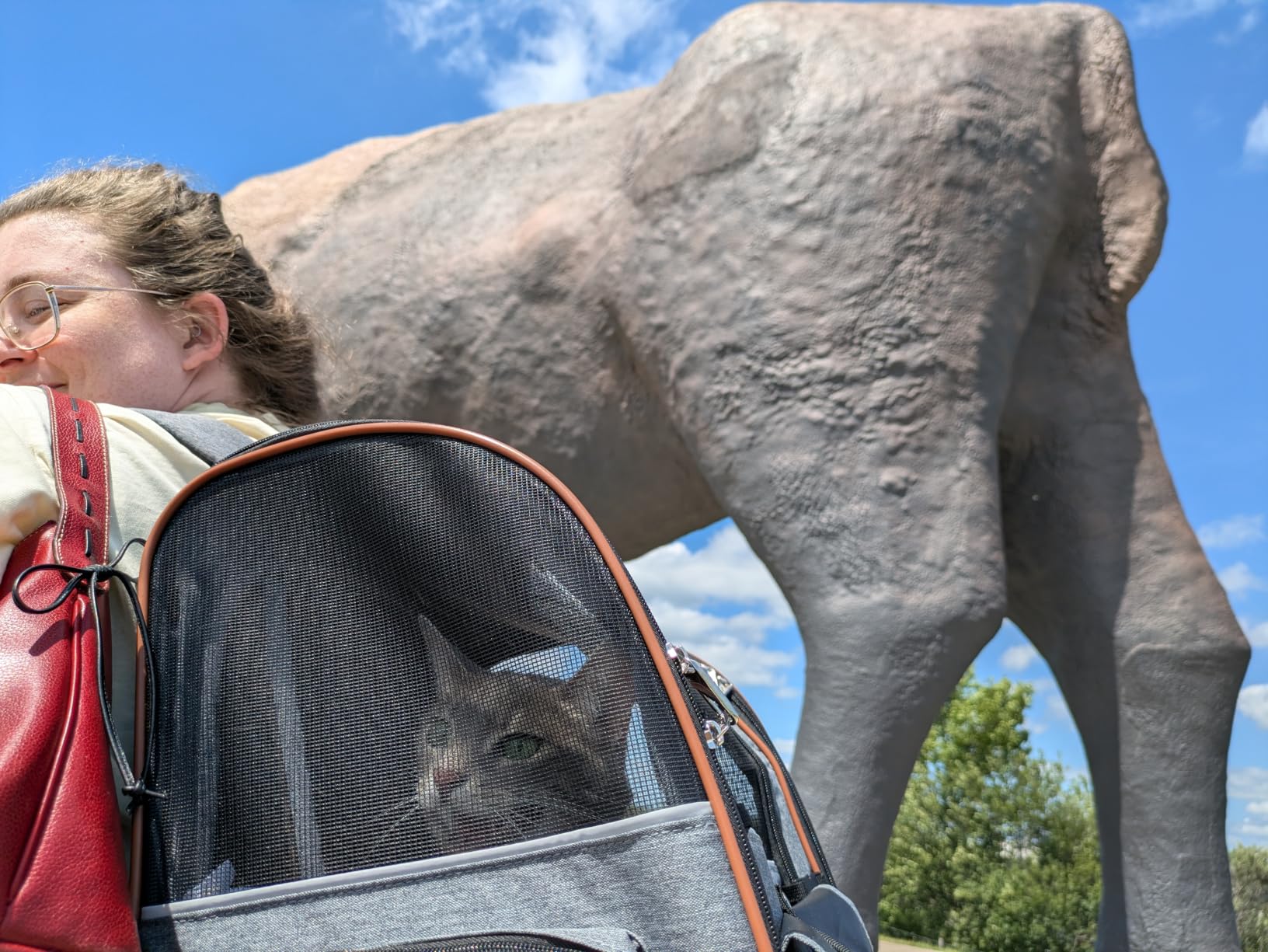 Extra Large Cat Backpack Carrier Expandable Pet Carrier Backpack for Small/Medium Dogs and Medium/Large Cats, Grey customer photo 2