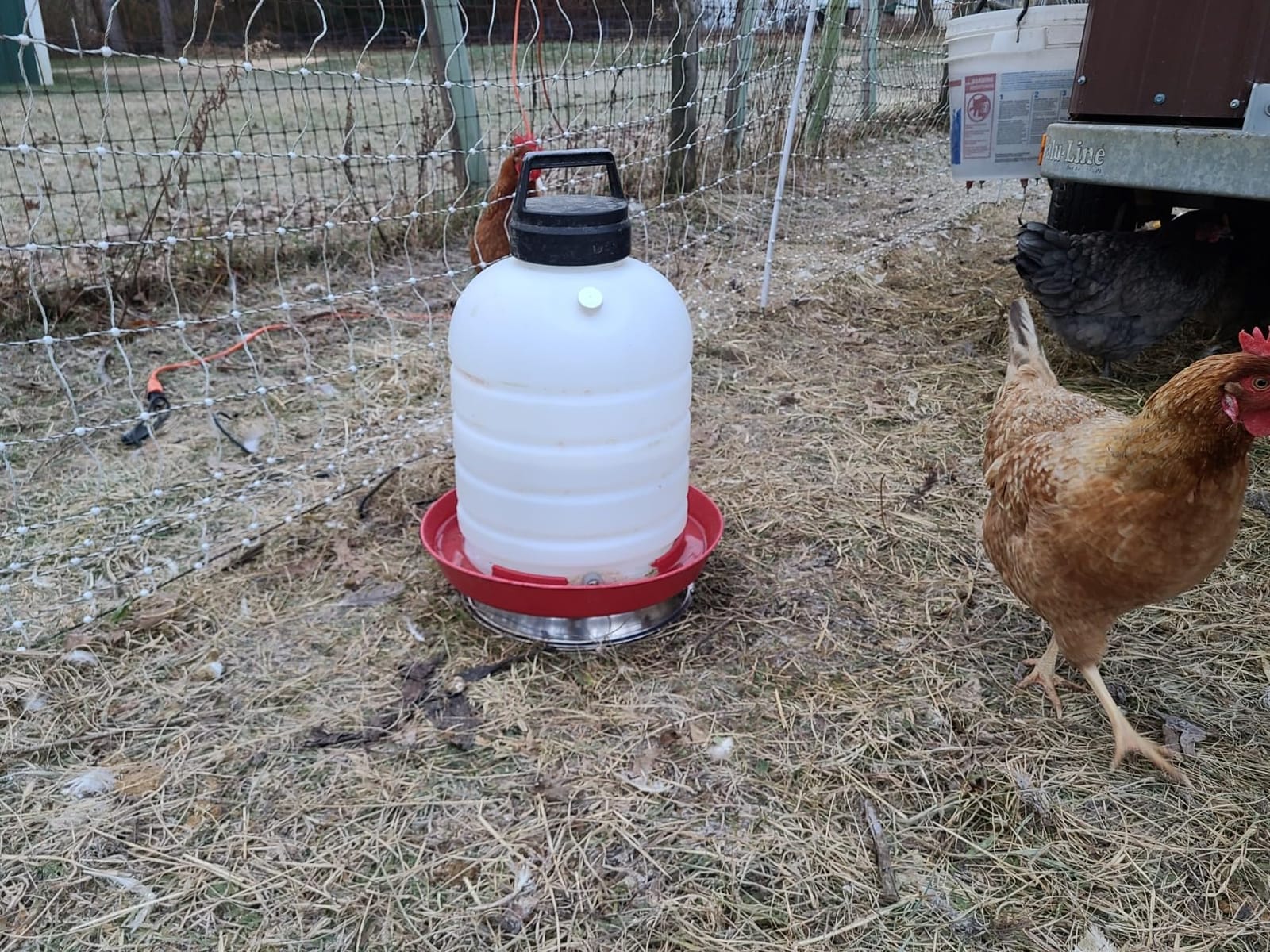 12 Inch Chicken Water Heater Base, 5 Gallons Poultry Drinker Heater Base with Thermostat and Power Cord customer photo 2