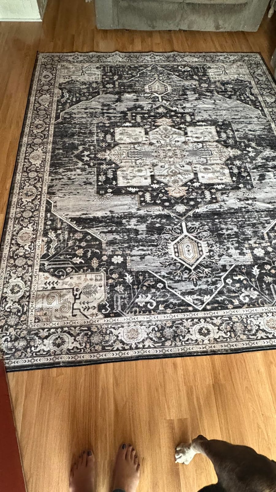 RUUGME Washable Area Rugs 5x7 for Living Room Bedroom Kitchen Beige | Oriental Distressed Indoor Carpet Soft Low Pile Stain Resistant customer photo 2