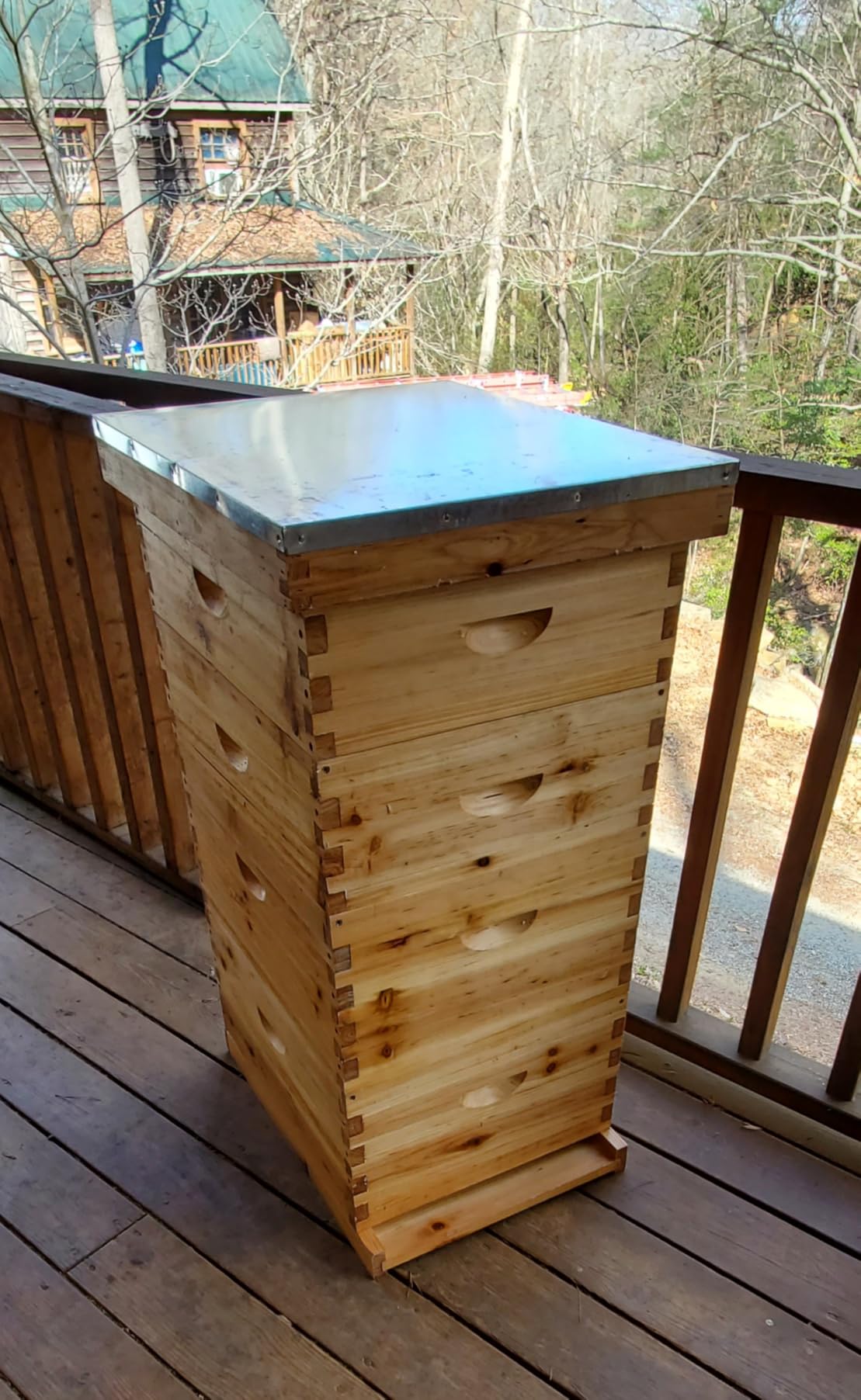 Honey Lake 10-Frame Langstroth Beehive Starter Kit, Beeswax Coated Complete Bee Hive Includes 2 Deep Brood Boxes & 2 Medium Super Bee Boxes with Beehive Frames and Foundations for Beekeepers (4 Layer) customer photo 1