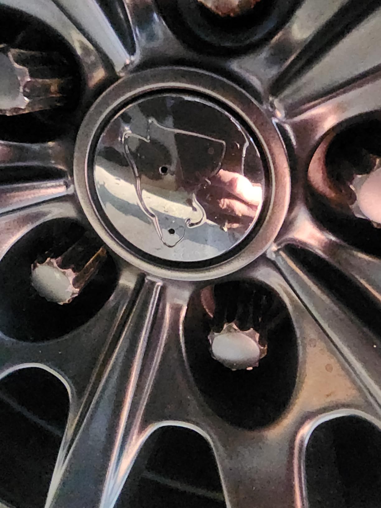 Coyote Wheel Center Caps for Ford Mustang- Fits 2015+ OEM Wheels - 54mm (Set of 4) - The Original Mustang Coyote Products (Blackout) customer photo 2