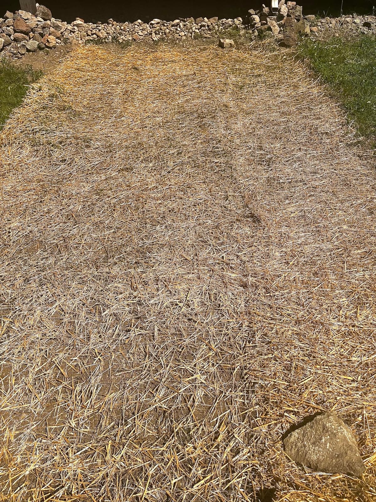Farm Plastic Supply - Erosion Control Blanket - Straw Garden and Landscape Cover, Erosion Control Blanket, Straw Blanket, Erosion Control, Mulch, Slope Stabilizer, and Seed Protector (8' x 112.5') customer photo 2
