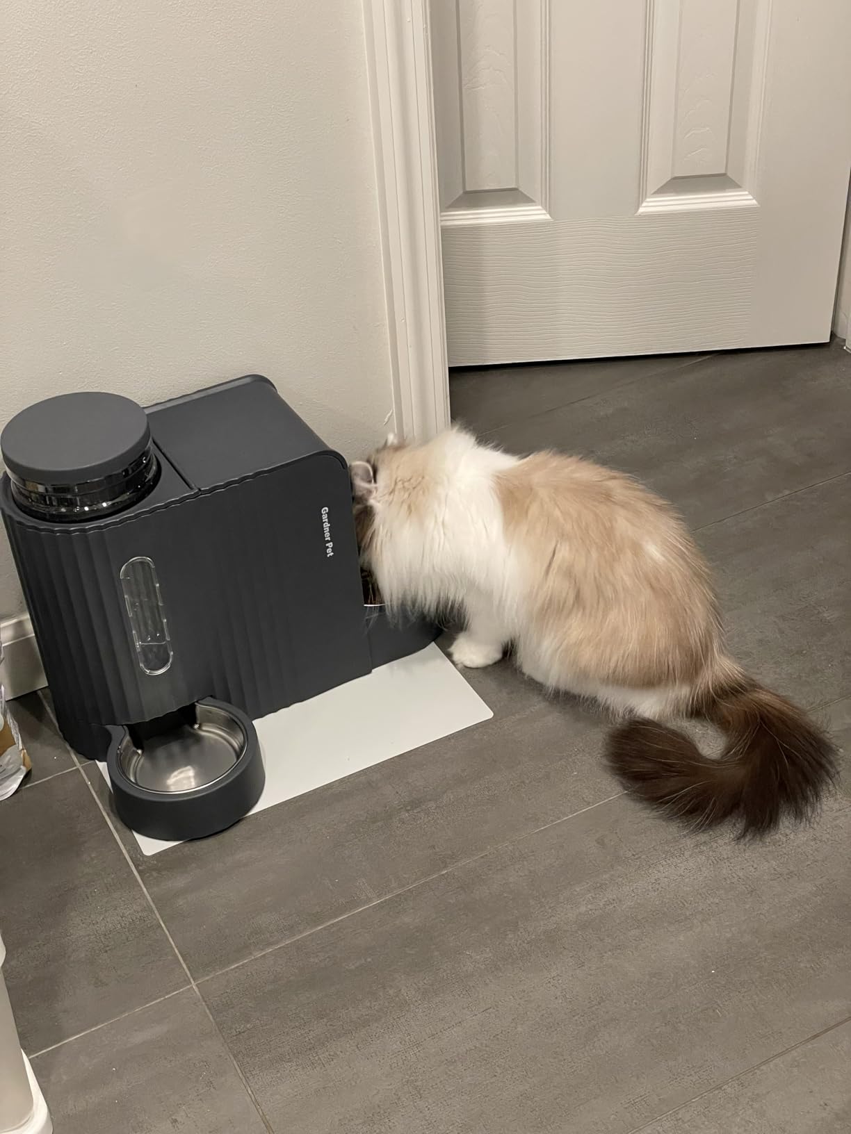 Gardner Pet Automatic Gravity Cat Food Feeder and Water Dispenser Stainless Steel Two-in-One Set Large Capacity Dispenser for Pets Dogs, Puppies, Kittens (0.8 Gallons x 2) customer photo 1
