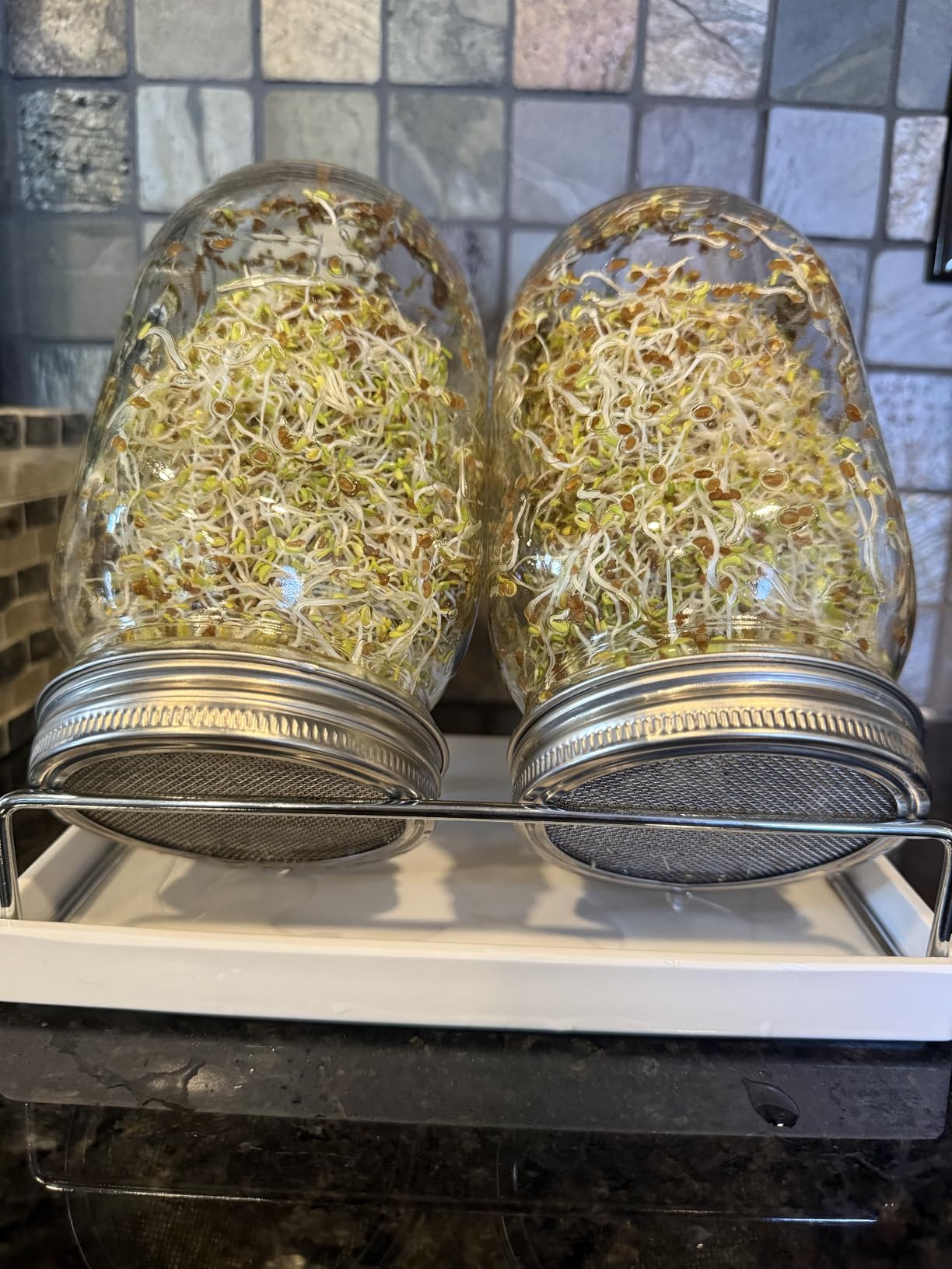 Sprouting Jar Kit Seed Sprouter Set for Growing Broccoli, Alfalfa, Mung Bea, Premium Stainless Steel Screen Sprout Lids, 2 Wide Mouth Mason Jars, Blackout Sleeves, Tray, Stand and Canning Brush customer photo 2