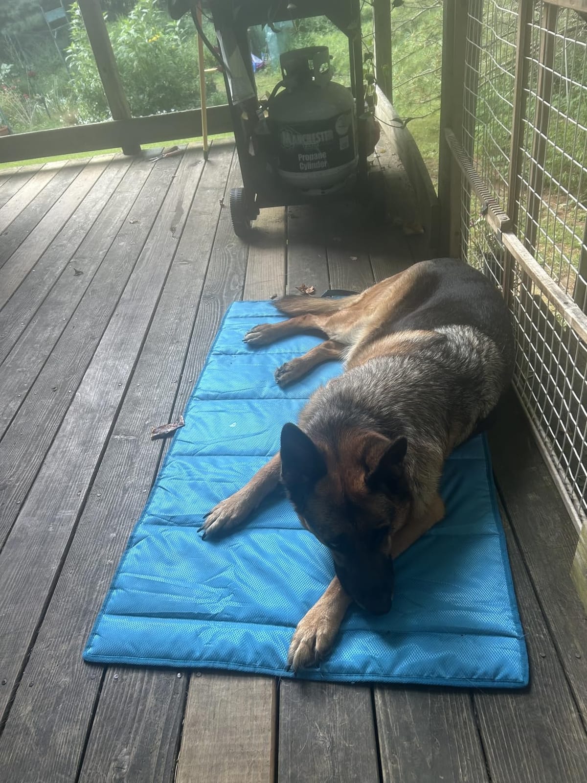 Large Outdoor Dog Bed Mat, Waterproof Camping Dog Mat with Carry Bag, Blue | 47 x 27 in for Medium and Large Dogs, Machine Washable, Foldable with Carry Bag, Indoor Outdoor Use, Oxford Fabric customer photo 2