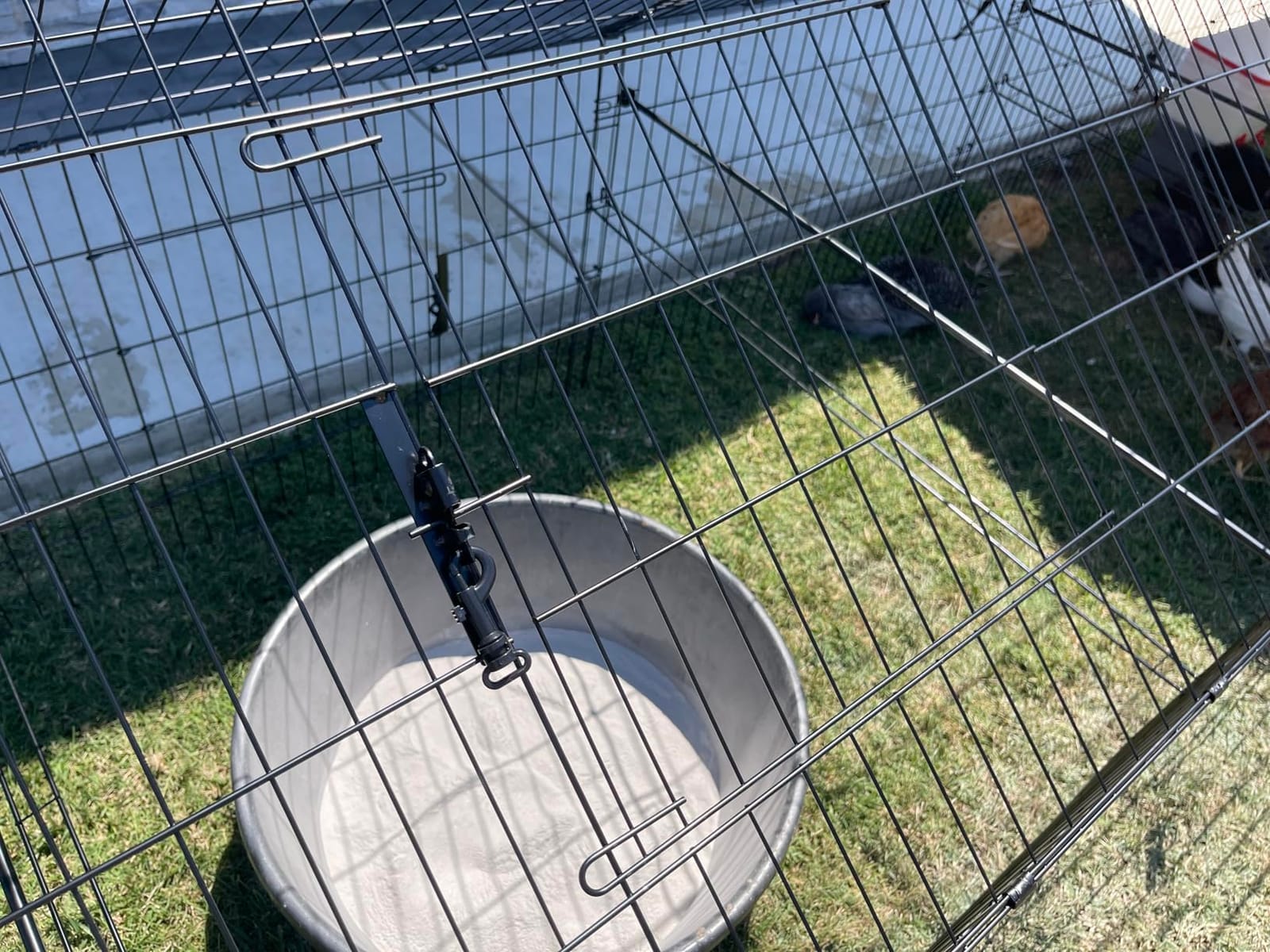 Chicken Coop, 21ft x 3.5ft Chicken Run Pen with Cover for Yard | Waterproof Sunshade Cover, Auto-lock Door, Ground Stake, Metal Portable Chicken Tractor for Poultry, Rabbits & Small Animals customer photo 1