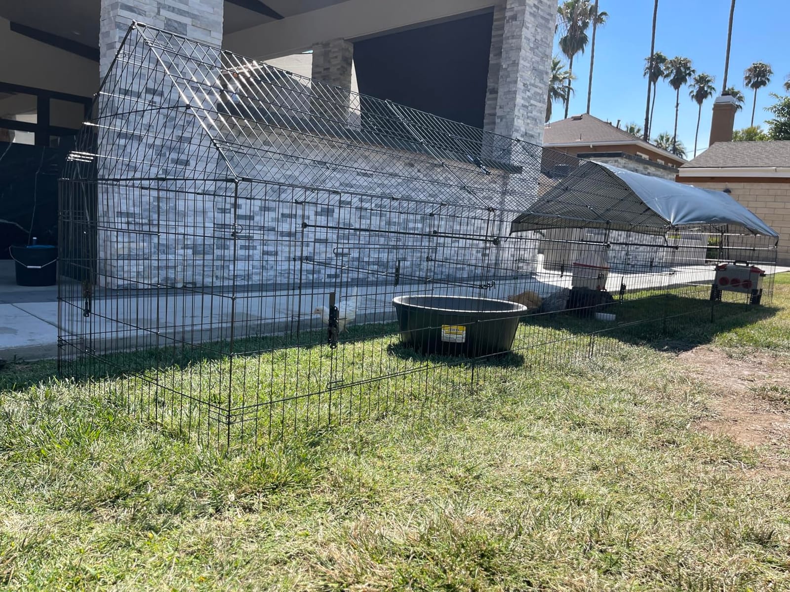 Chicken Coop, 21ft x 3.5ft Chicken Run Pen with Cover for Yard | Waterproof Sunshade Cover, Auto-lock Door, Ground Stake, Metal Portable Chicken Tractor for Poultry, Rabbits & Small Animals customer photo 2