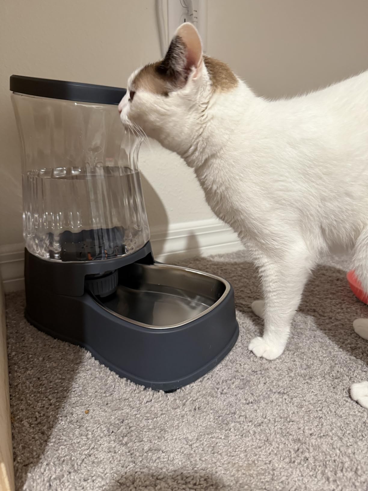 Gardner Pet Automatic Dog Water Dispenser Gravity Stainless Steel Water Waterer Feeder, 100% BPA-Free Large Capacity Water Feeding Bowls for Medium & Large-Sized Dogs Cats Other Pets -(1 Gallon) customer photo 2