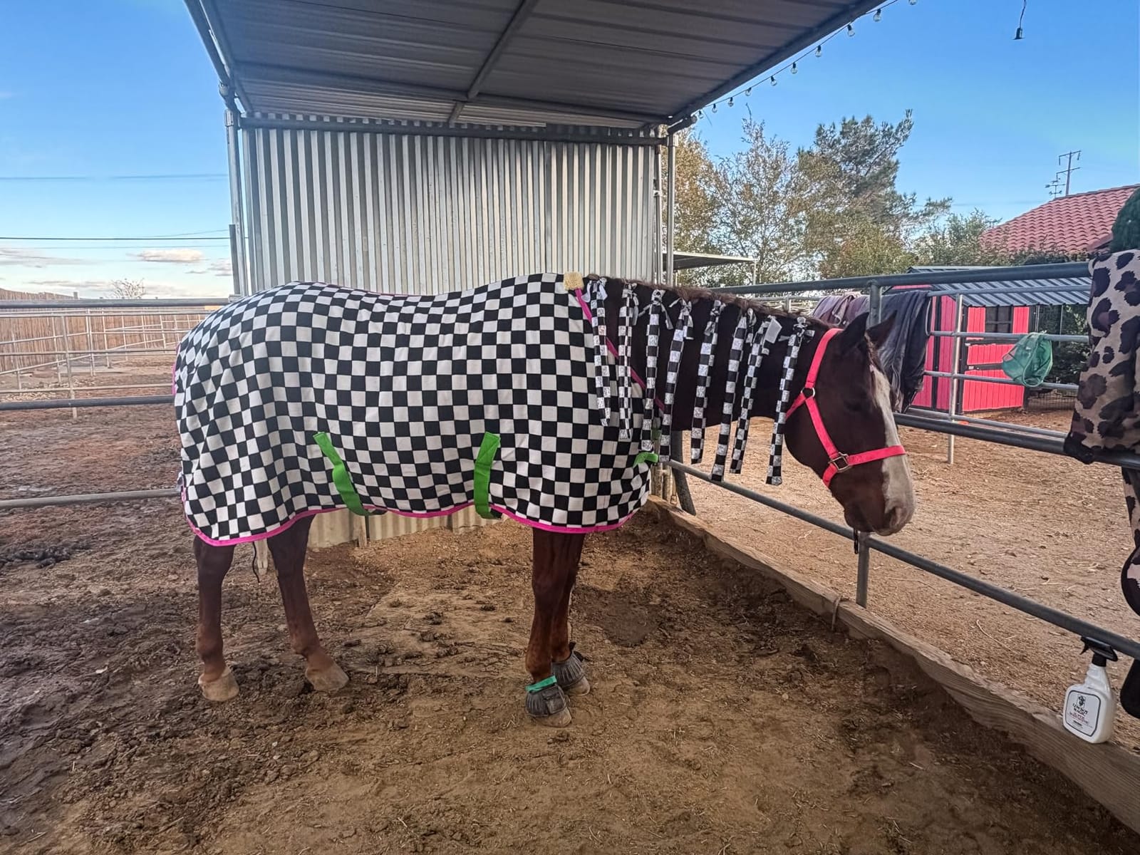 Jeffers Elite Fleece Cooler Blanket for Horses, 78