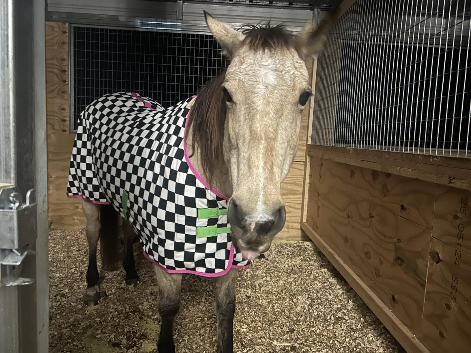 Jeffers Elite Fleece Cooler Blanket for Horses, 78