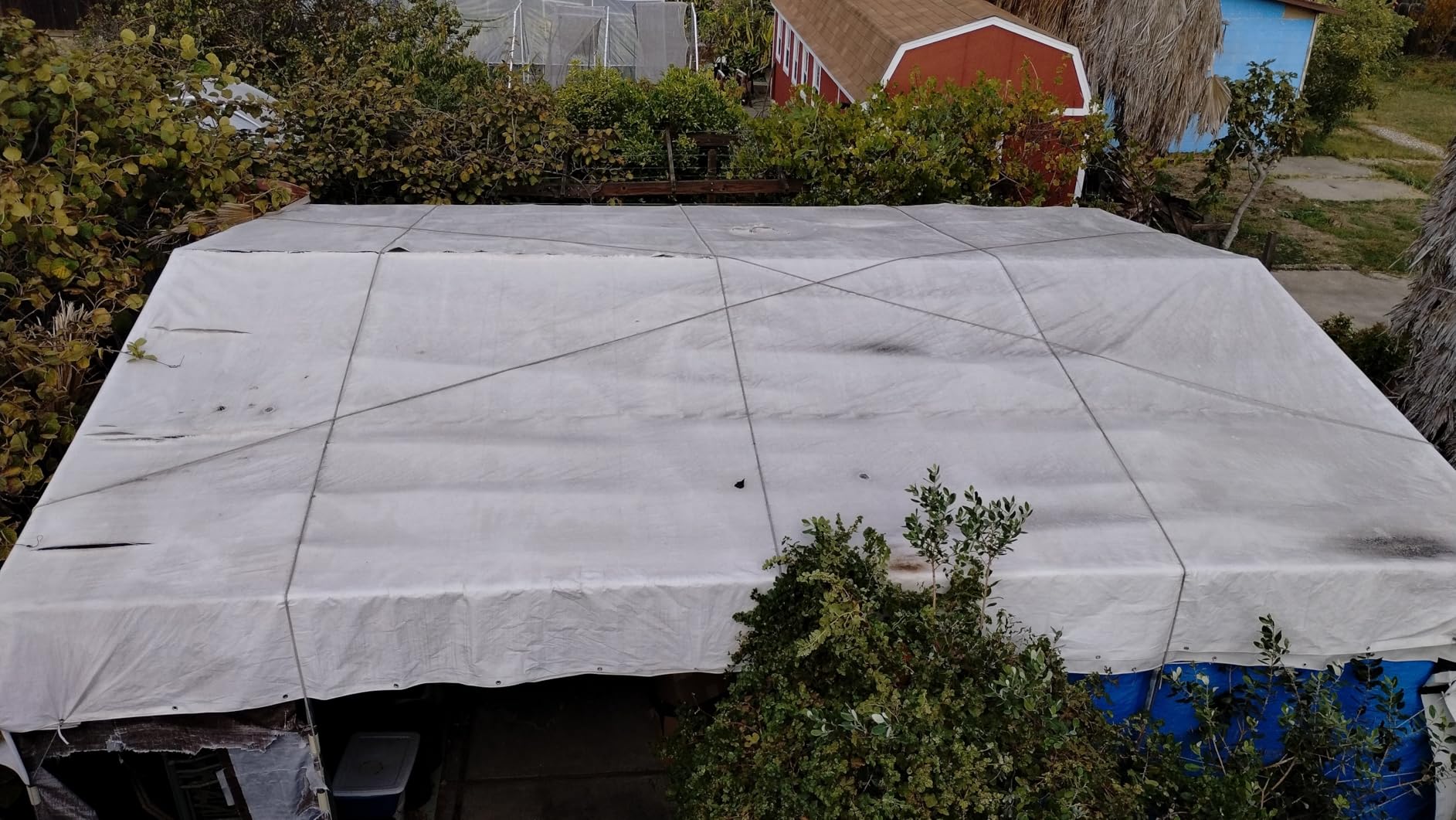 Heavy Duty Silver Poly Tarp 20' X 40' - Multipurpose Protective Cover - Durable, Waterproof, Weather Proof, Rip and Tear Resistant - Extra Thick 12 Mil Polyethylene - by Xpose Safety customer photo 1