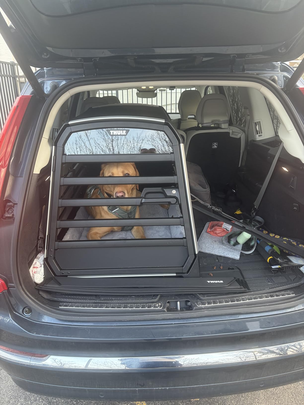 Thule Allax Dog Crate L customer photo 2