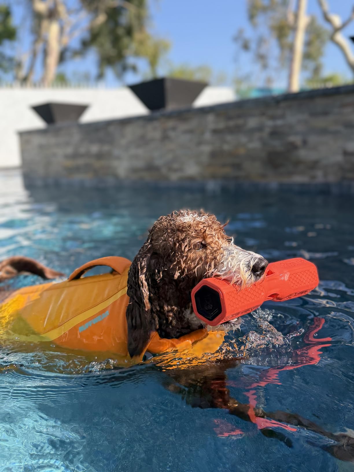 GUNNER Dog Training Bumper, Orange Retriever Dummy with Adjustable Rope | Orange Dog Training Bumper, Floating DuraTrieve Retriever Dummy, Adjustable Rope, Scent Cavity, Vented and Tapered Design customer photo 2