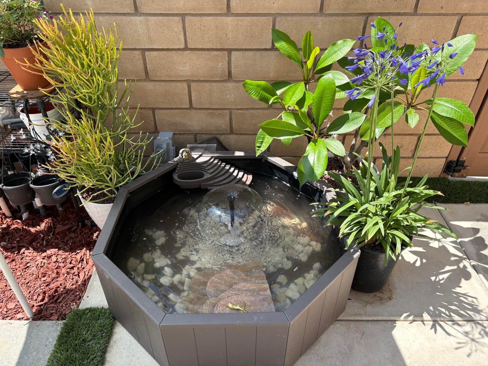 Aquagarden No Dig Nature Pool, Complete Water Feature Kit, Attract Birds and Wildlife to Your Yard, Includes Pond Structure, Liner, Fountain Pump, Nature Ladder, Planting Pocket customer photo 2