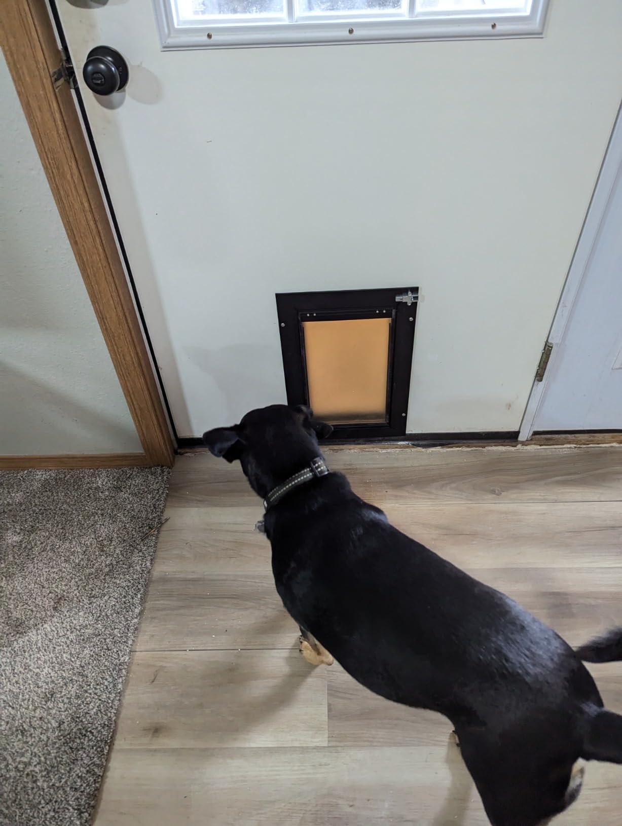 All Aluminum Dog Door for Exterior Door, Large Doggy Door, Heavy Duty Pet Door, Double Magnetic Flaps, Thermal Insulation, Energy Efficient, Sliding Lock Panel (Pets Up to 110Lb) customer photo 2