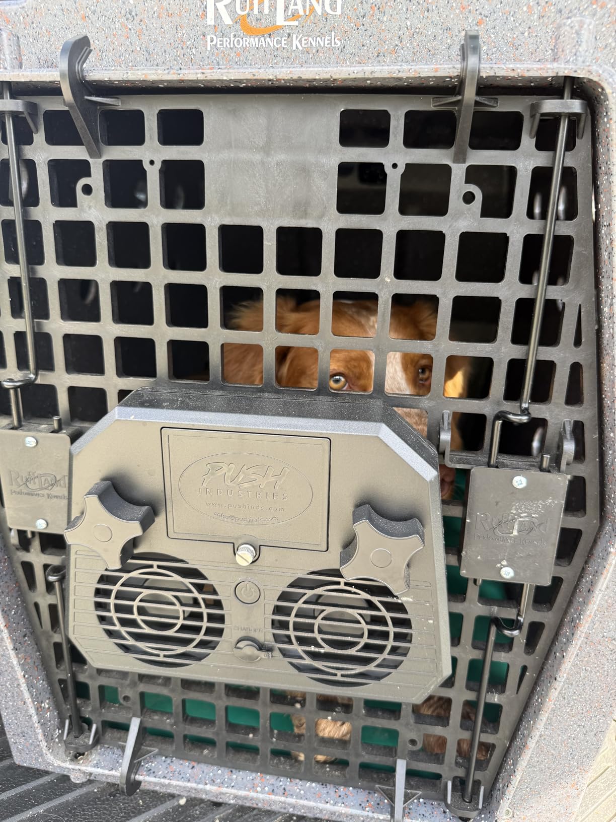 Push Industries 901.901 Vortex Kennel & Crate Fan Powered by 120V or Inc. Rechargable Battery - Multi Speed (Each) customer photo 1
