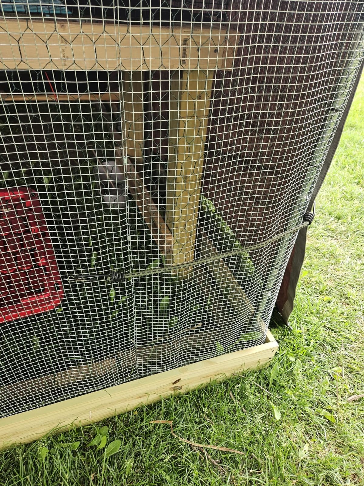 VEVOR Large Metal Chicken Coop, 9.8x13.1x6.5 ft Large Walk in Chicken Runs for Yard with Cover, Hen House Enclosure with Security Lock, Outdoor Duck Rabbit Cage Poultry Pen for Backyard, Farm, Yard customer photo 1