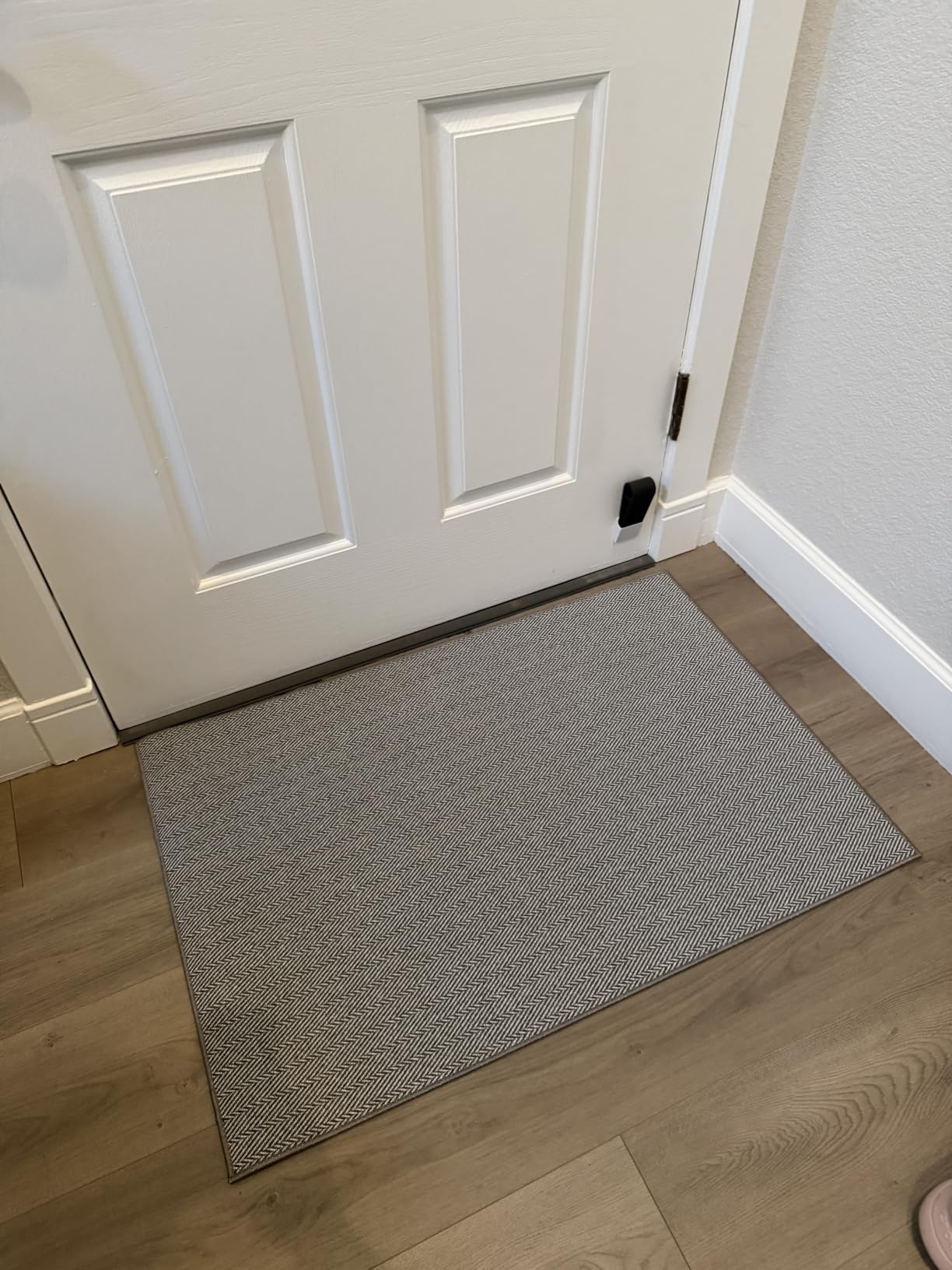 LUMI Ultra Thin Indoor Door Mat 32x48, Entrance Doormat, Beige | 0.14 Ultra Thin, Dirt-Trapping and Absorbent Quick-Dry Surface, Waterproof Non-Slip Rubber Backing, Elegant Herringbone Design customer photo 1
