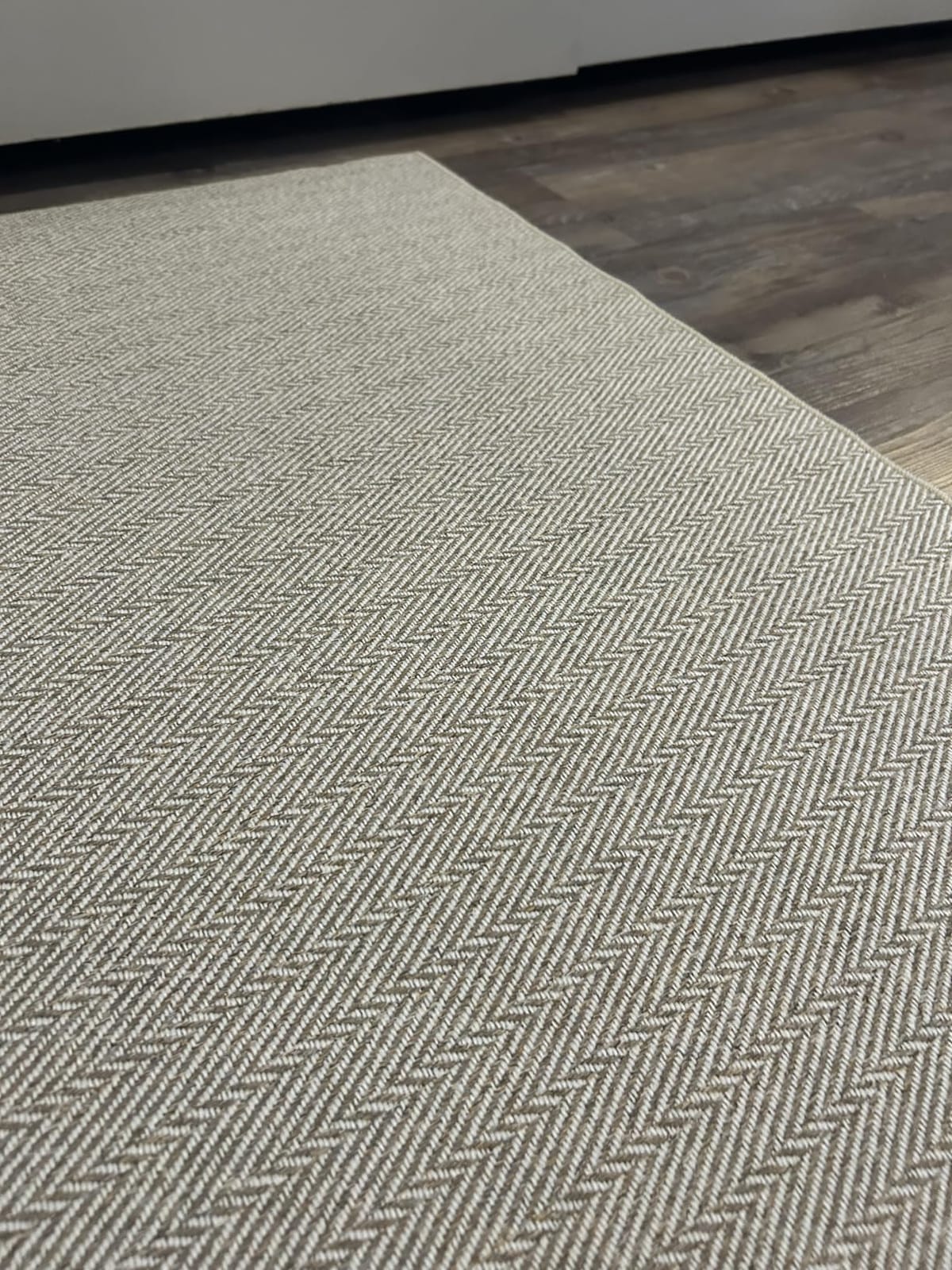 LUMI Ultra Thin Indoor Door Mat 32x48, Entrance Doormat, Beige | 0.14 Ultra Thin, Dirt-Trapping and Absorbent Quick-Dry Surface, Waterproof Non-Slip Rubber Backing, Elegant Herringbone Design customer photo 2